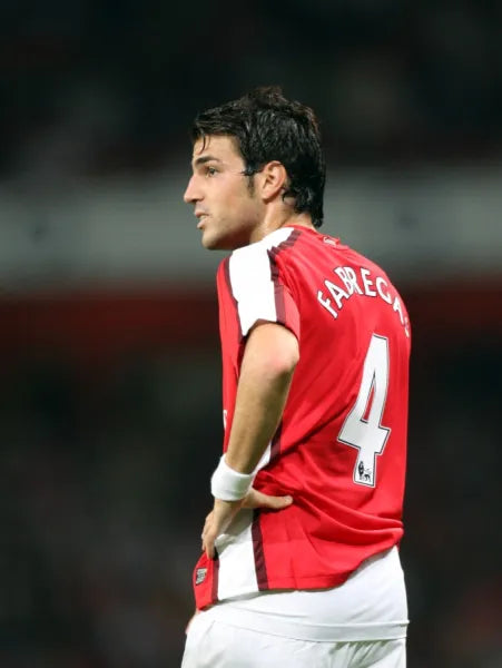 2008/10 Arsenal #4 FABREGAS Home Jersey (M)