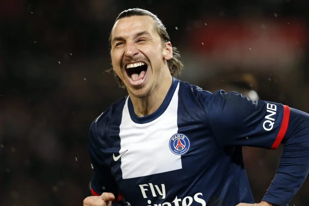 2013/14 PSG #10 IBRAHIMOVIC Home Jersey (S)