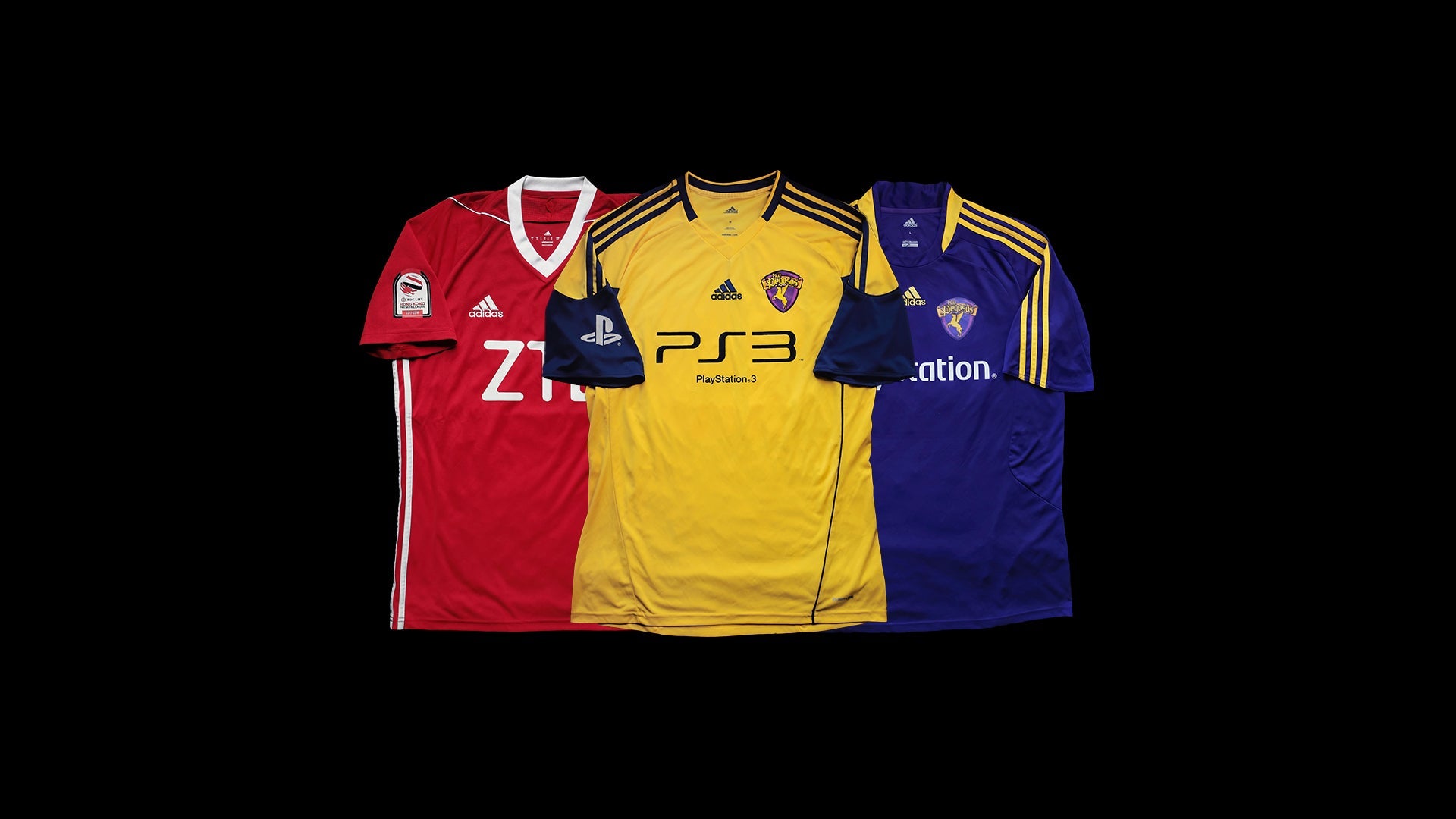 TSW Pegasus 天水圍飛馬