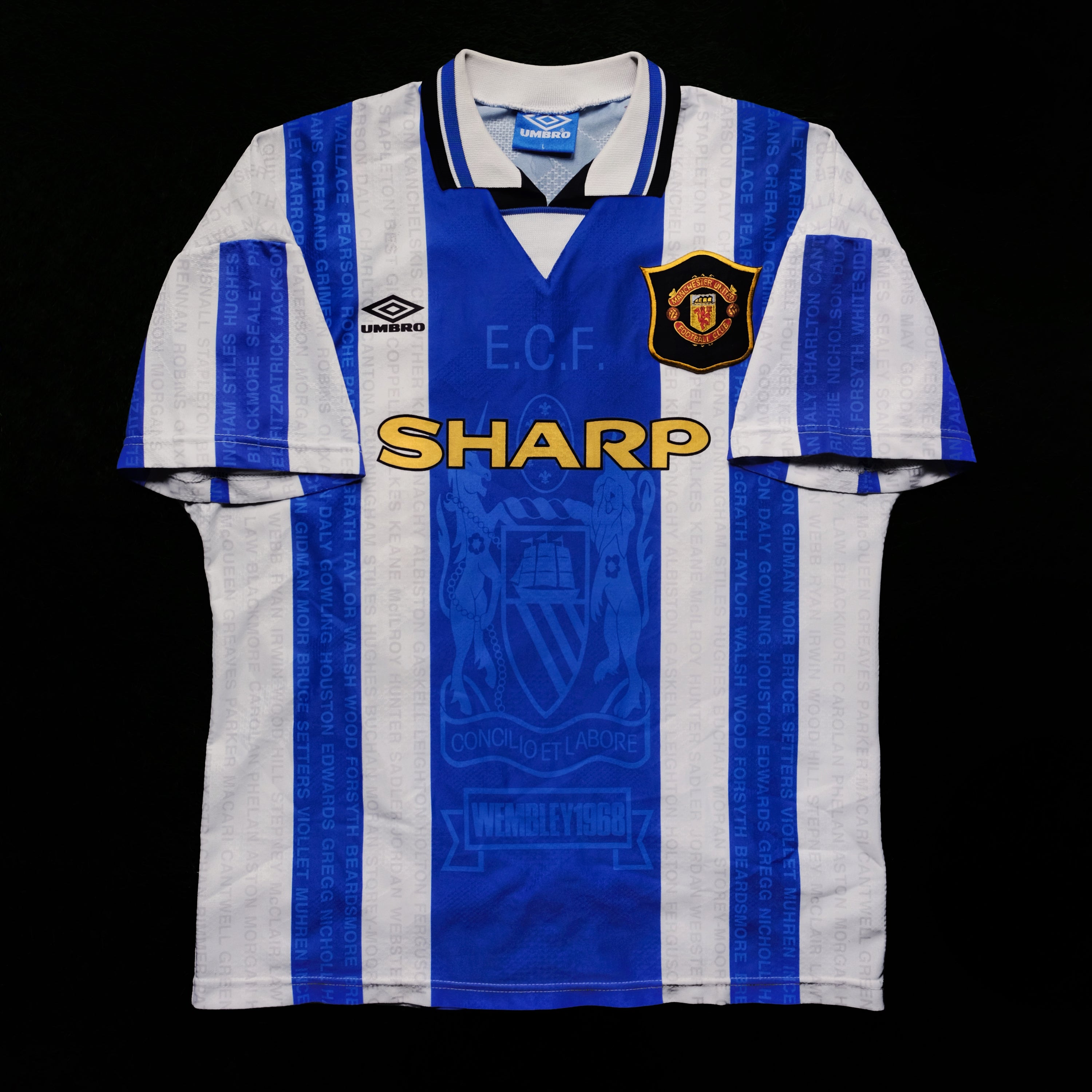 1994/97 Man Utd #10 BECKHAM Third Jersey (L)