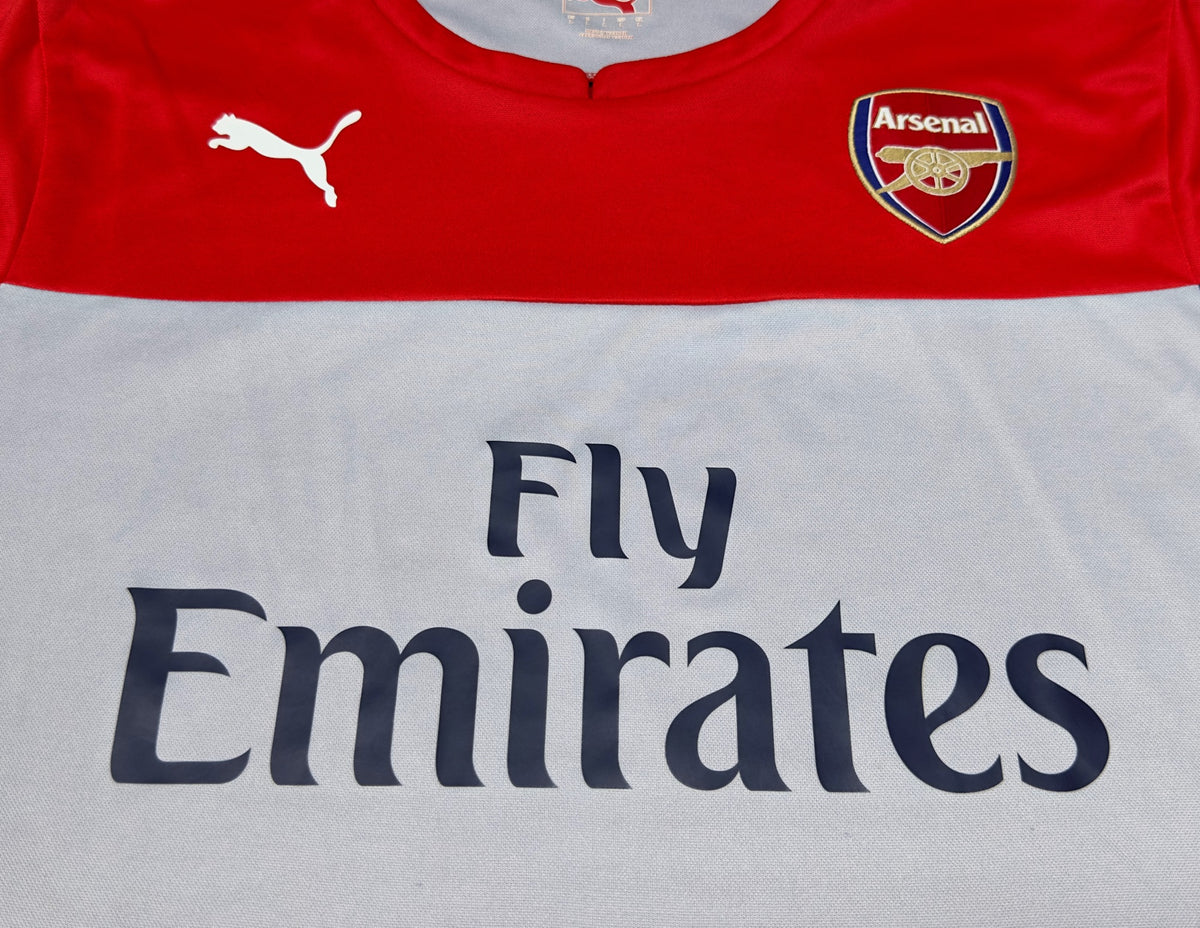 Puma Arsenal Training Jersey (L)