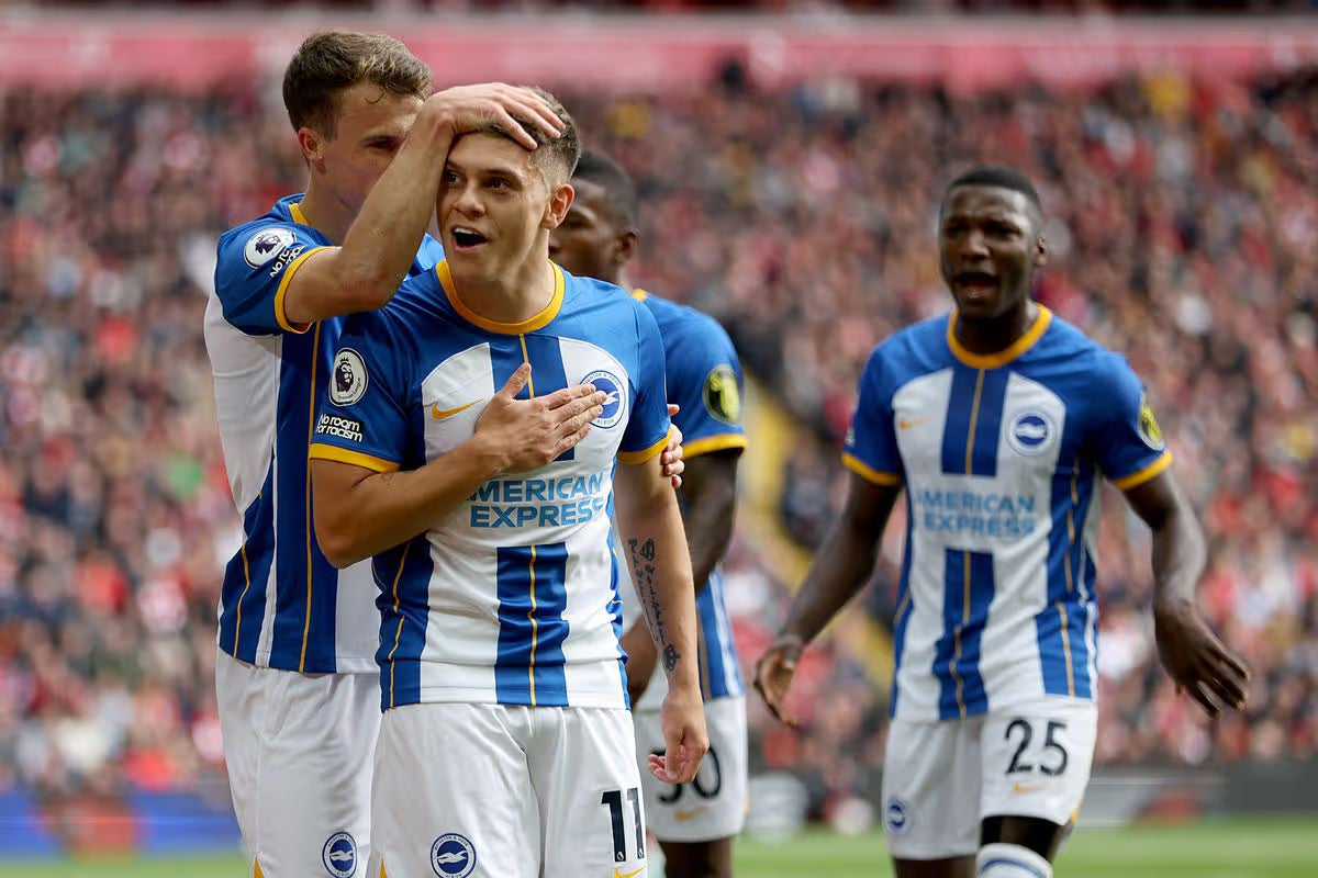 2022/23 Brighton Home Jersey (XL)