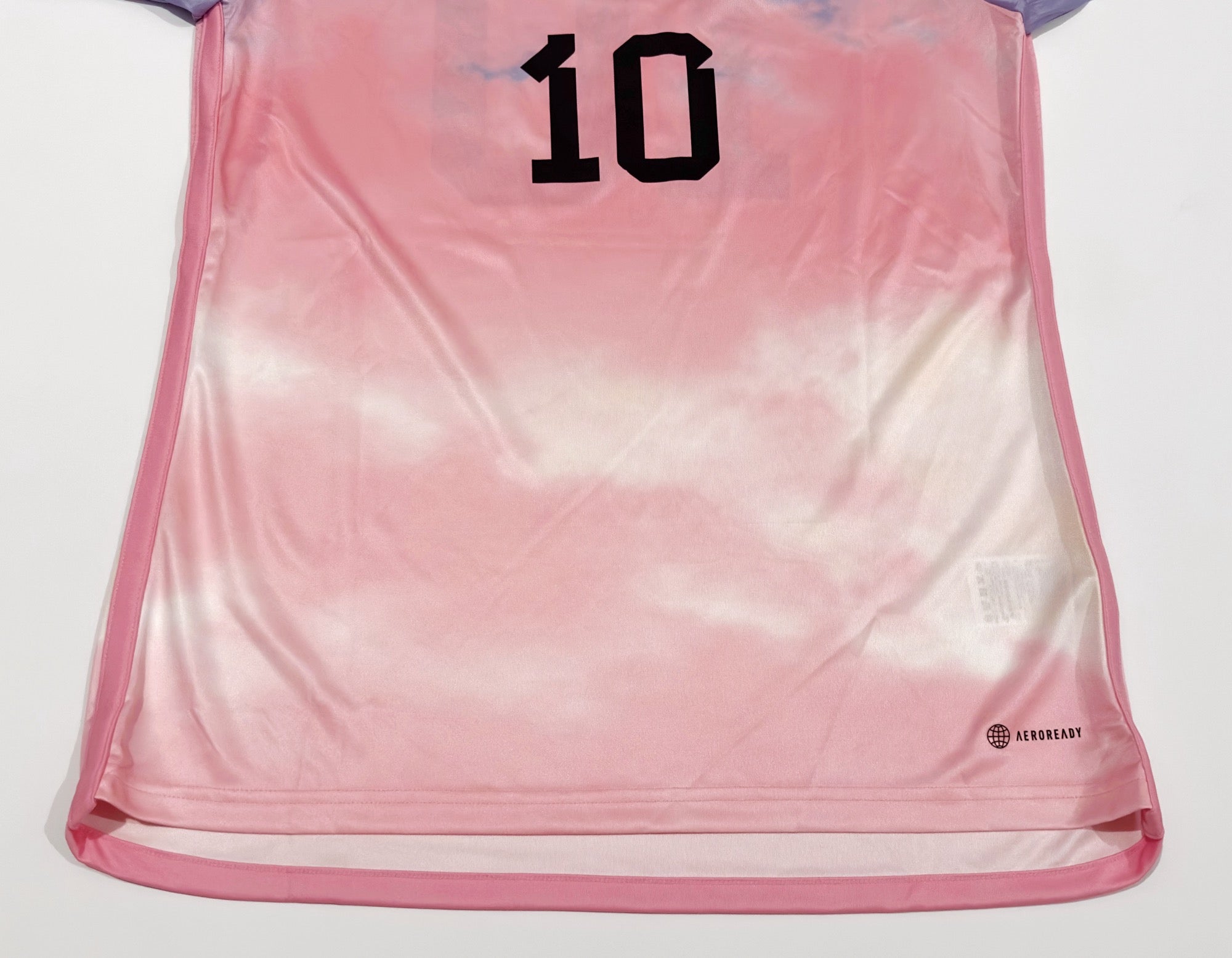 2023 Japan #10 IWABUCHI Women Away Jersey (M)