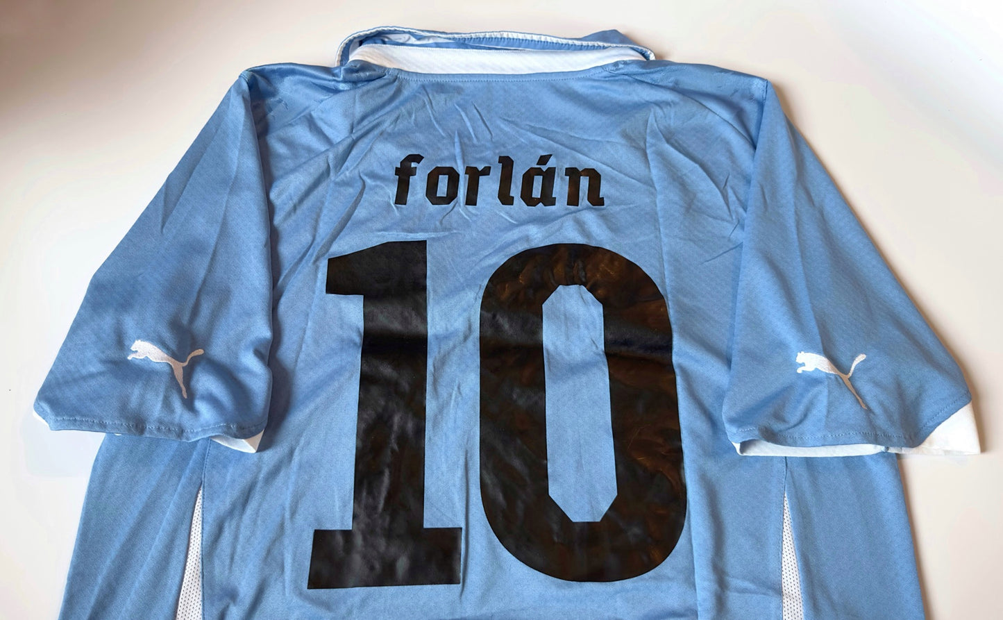 2010/12 Uruguay #10 FORLAN Home Jersey (L)