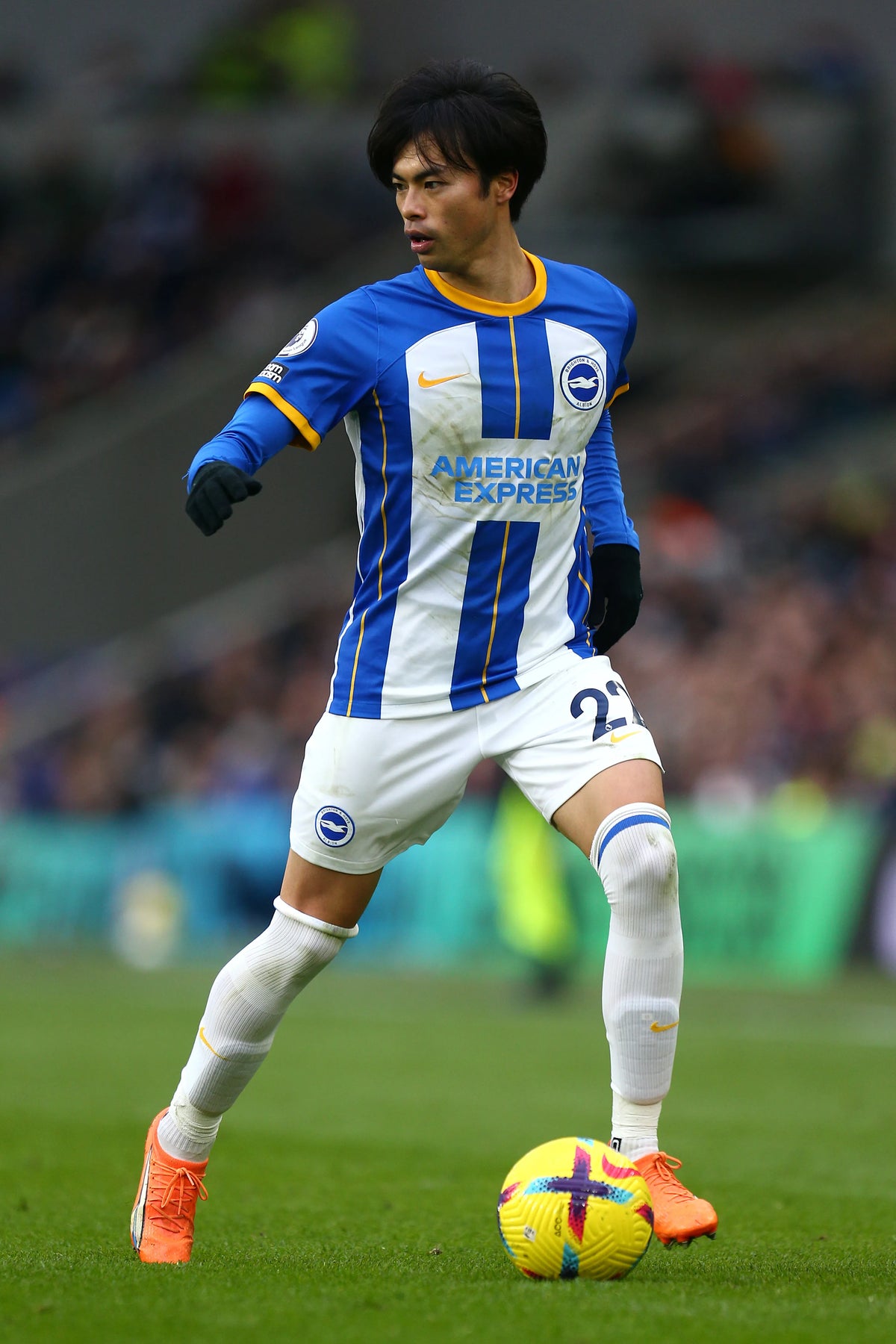 2022/23 Brighton Home Jersey (XL)