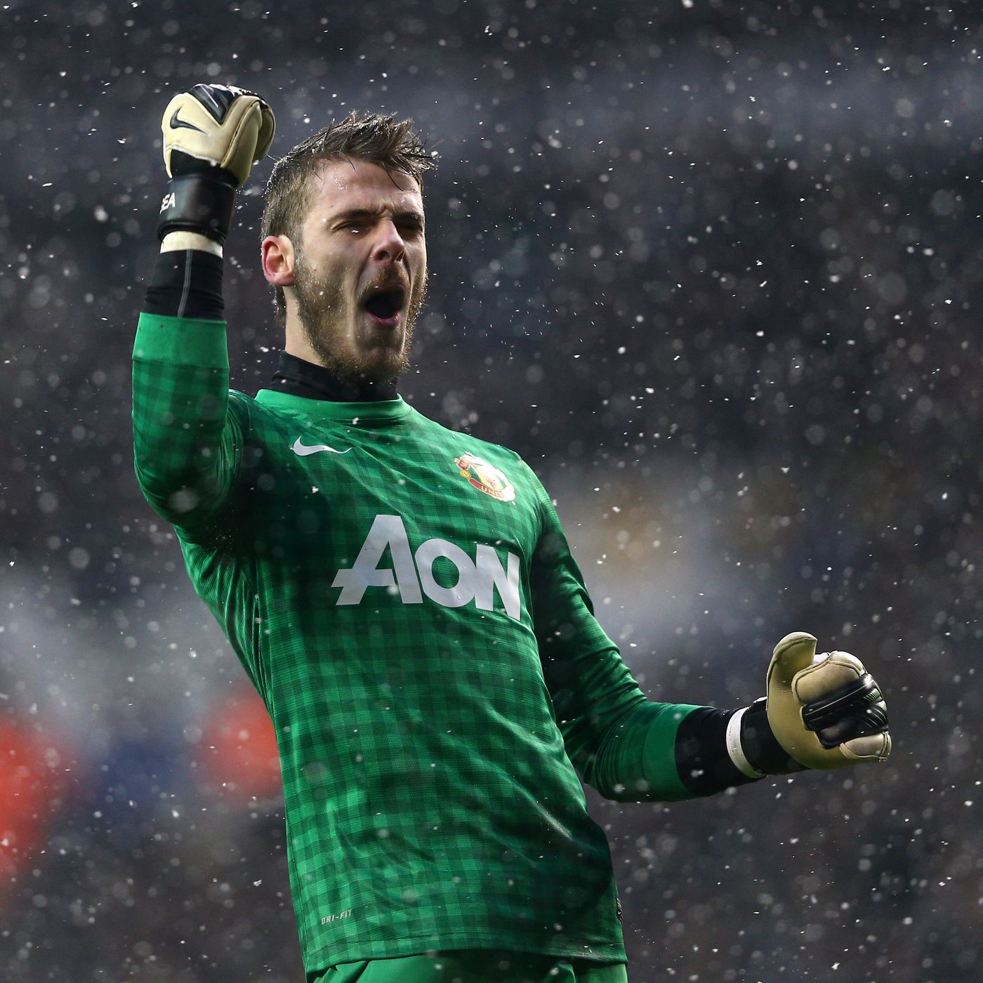 2012/13 Man Utd #1 DE GEA GK Jersey (S) L/S