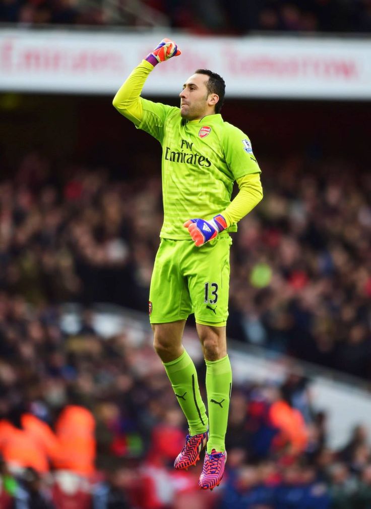 2014/15 Arsenal #13 OSPINA GK Jersey (L)