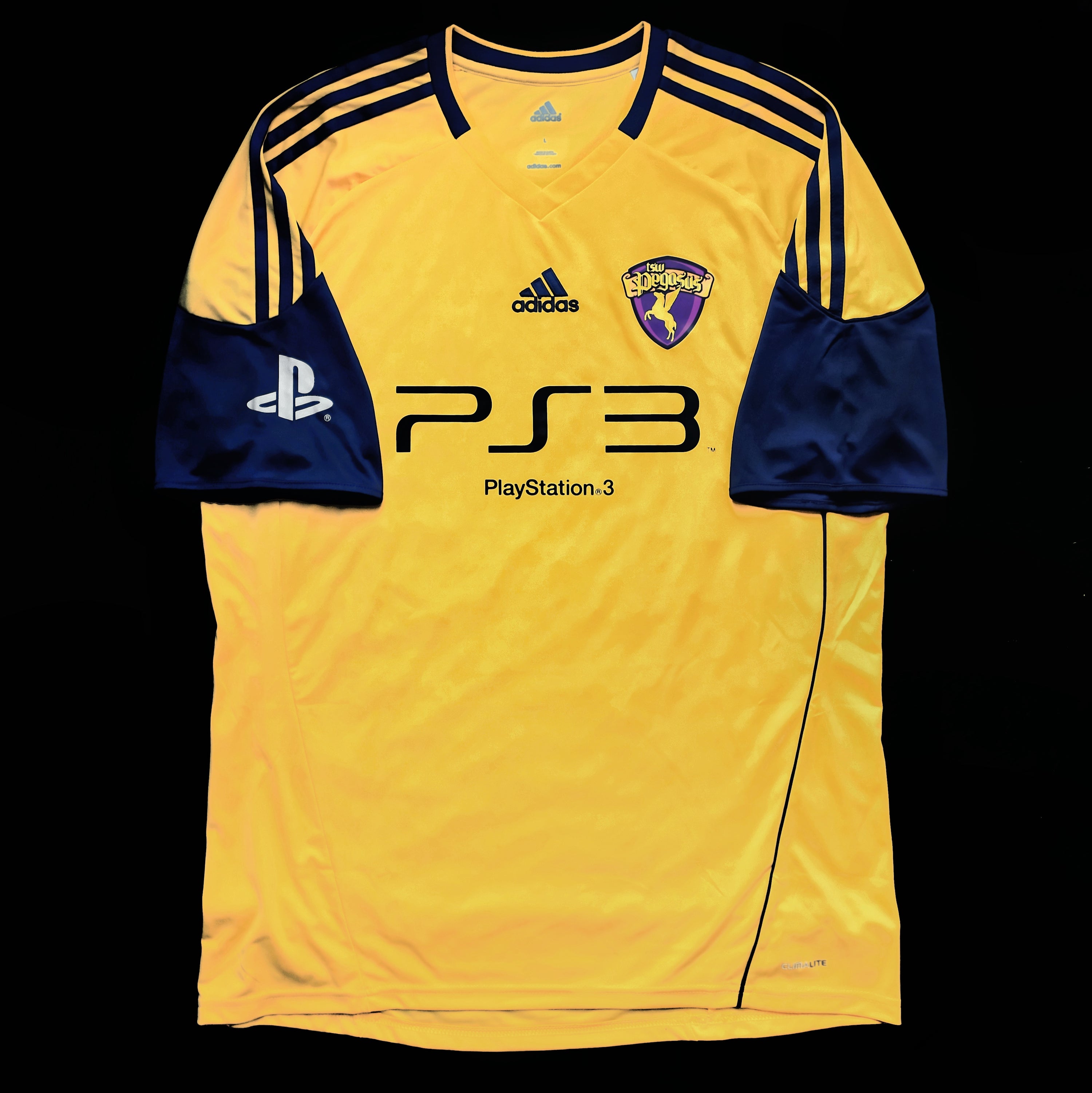 2010/11 TSW Pegasus Home Jersey (L)