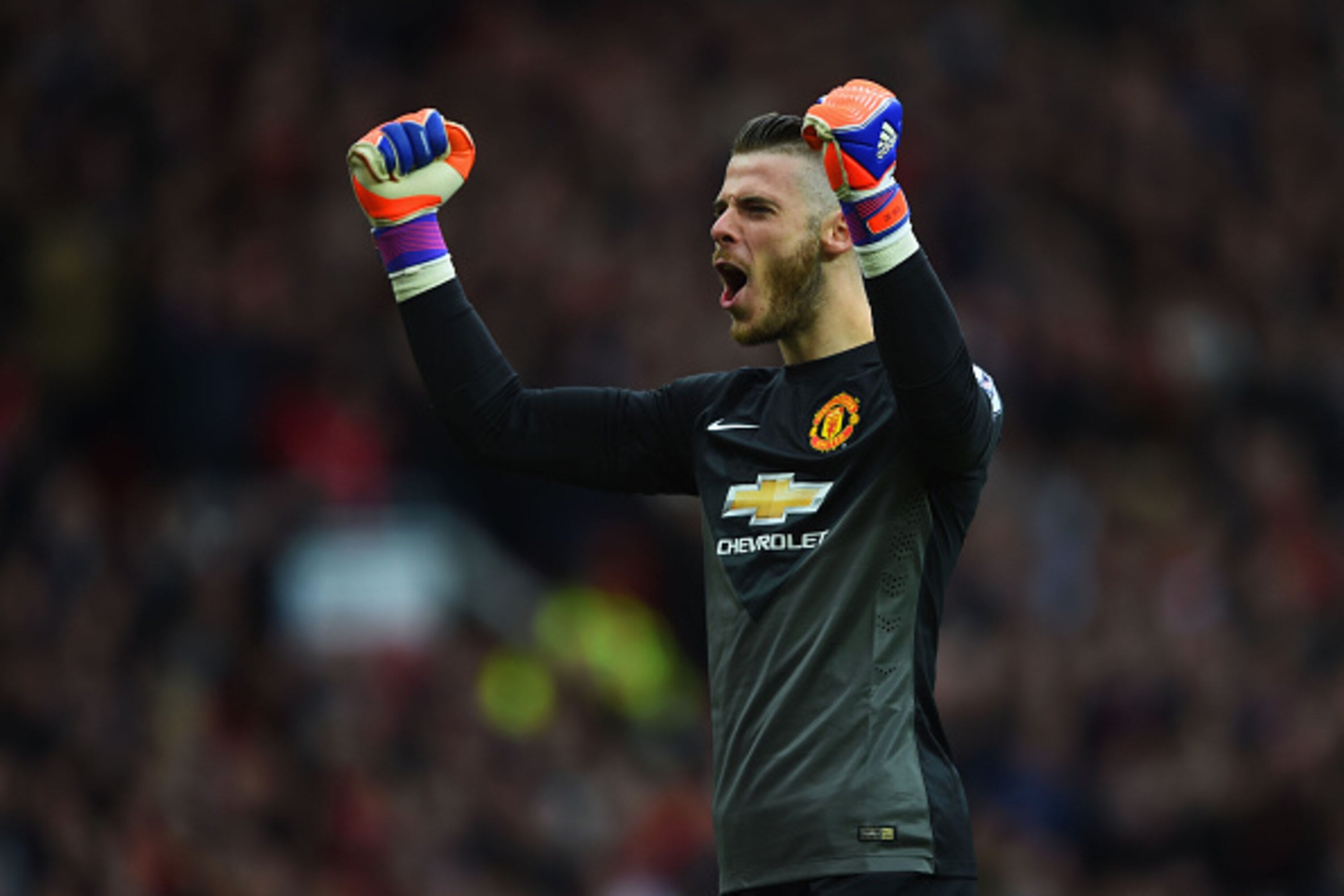 2014/15 Man Utd #1 DE GEA GK Jersey (M) L/S