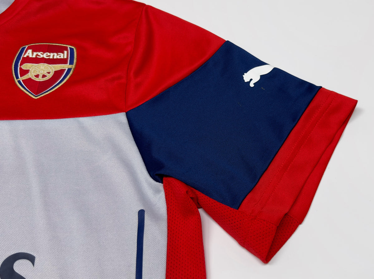 Puma Arsenal Training Jersey (L)