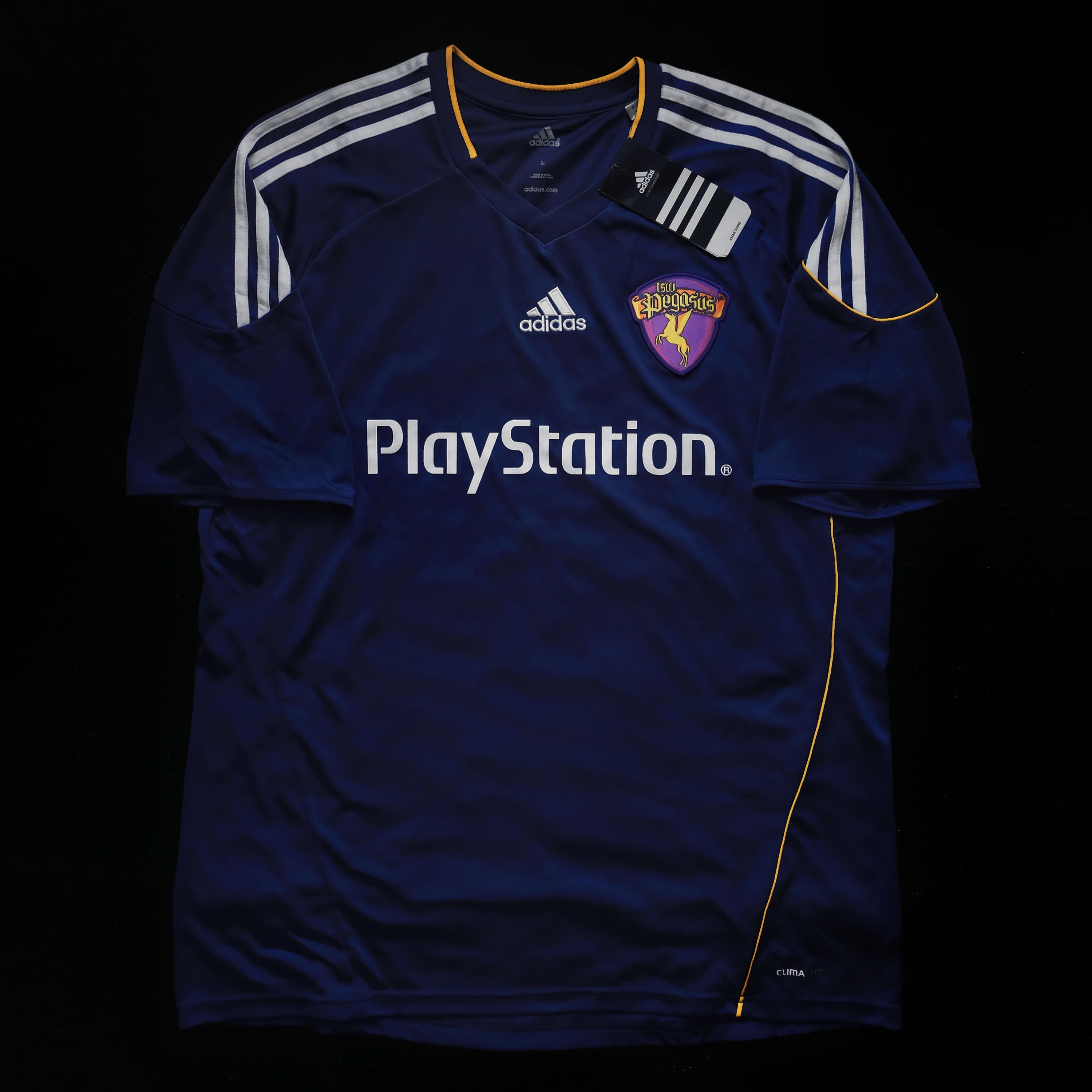 2011/12 TSW Pegasus #13 K F CHEUNG Away Jersey (L)