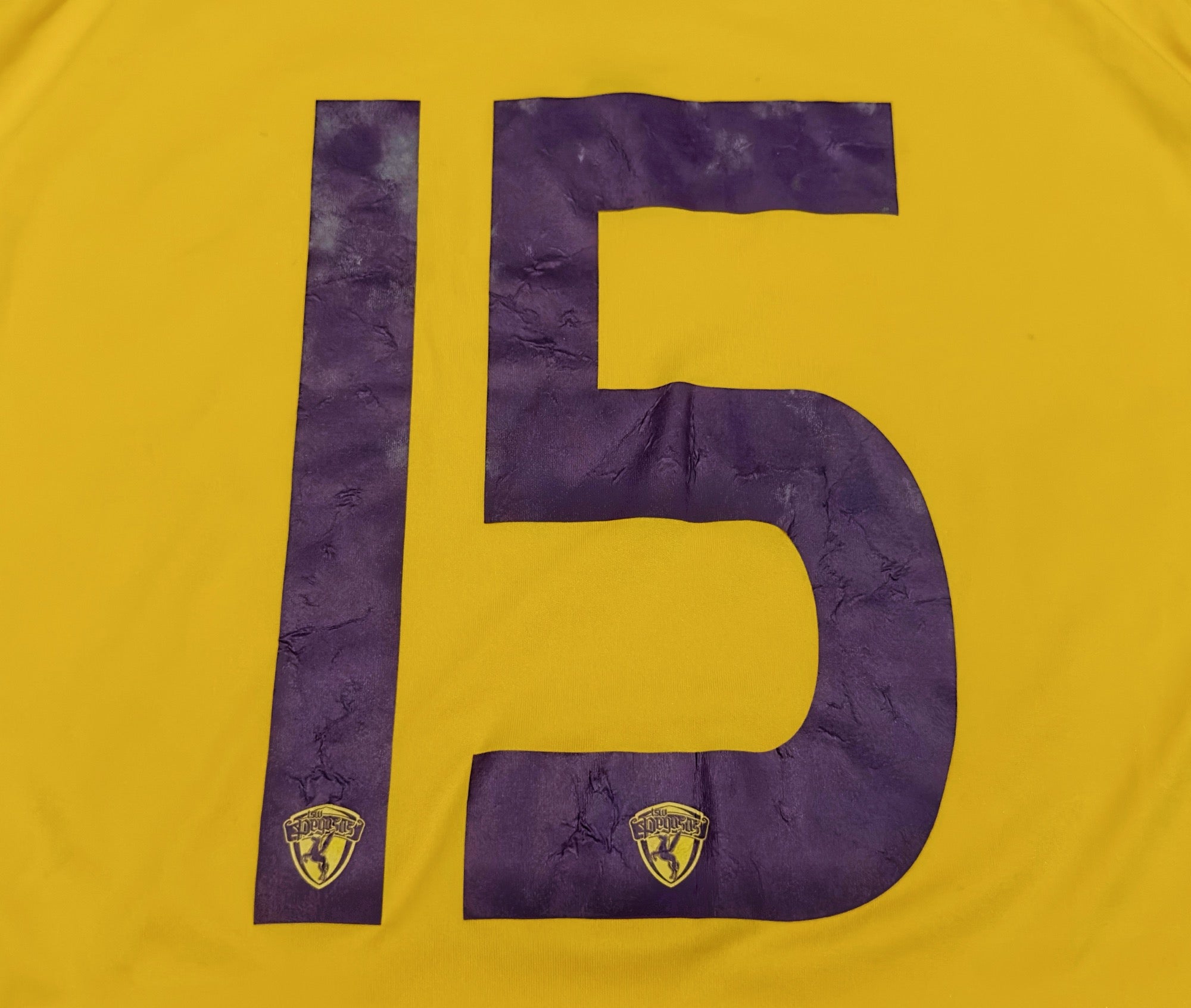 2008/10 TSW Pegasus #15 KM YUEN Home Jersey (M)