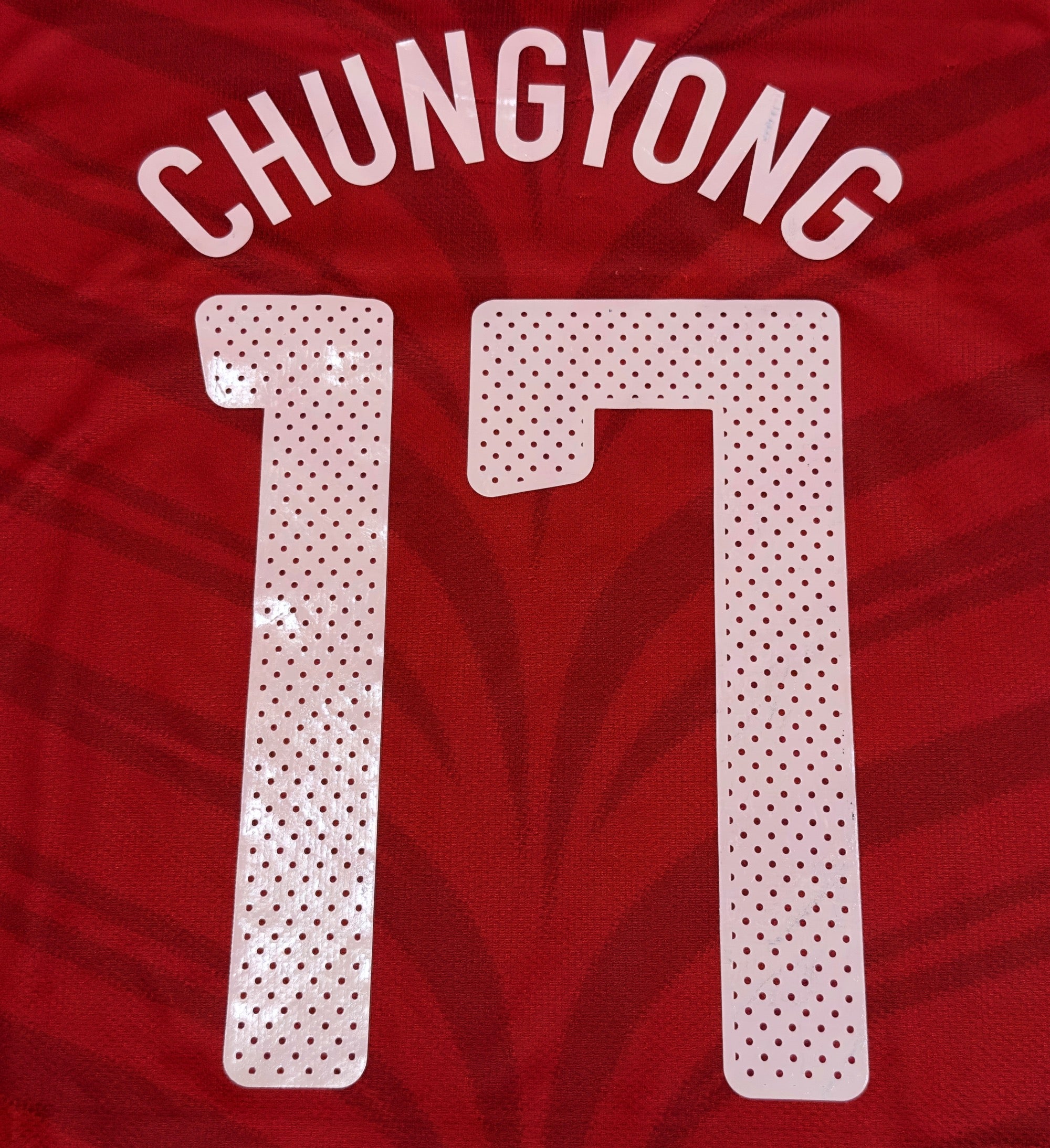 2010/11 South Korea #17 CHUNGYONG Home Jersey (L)