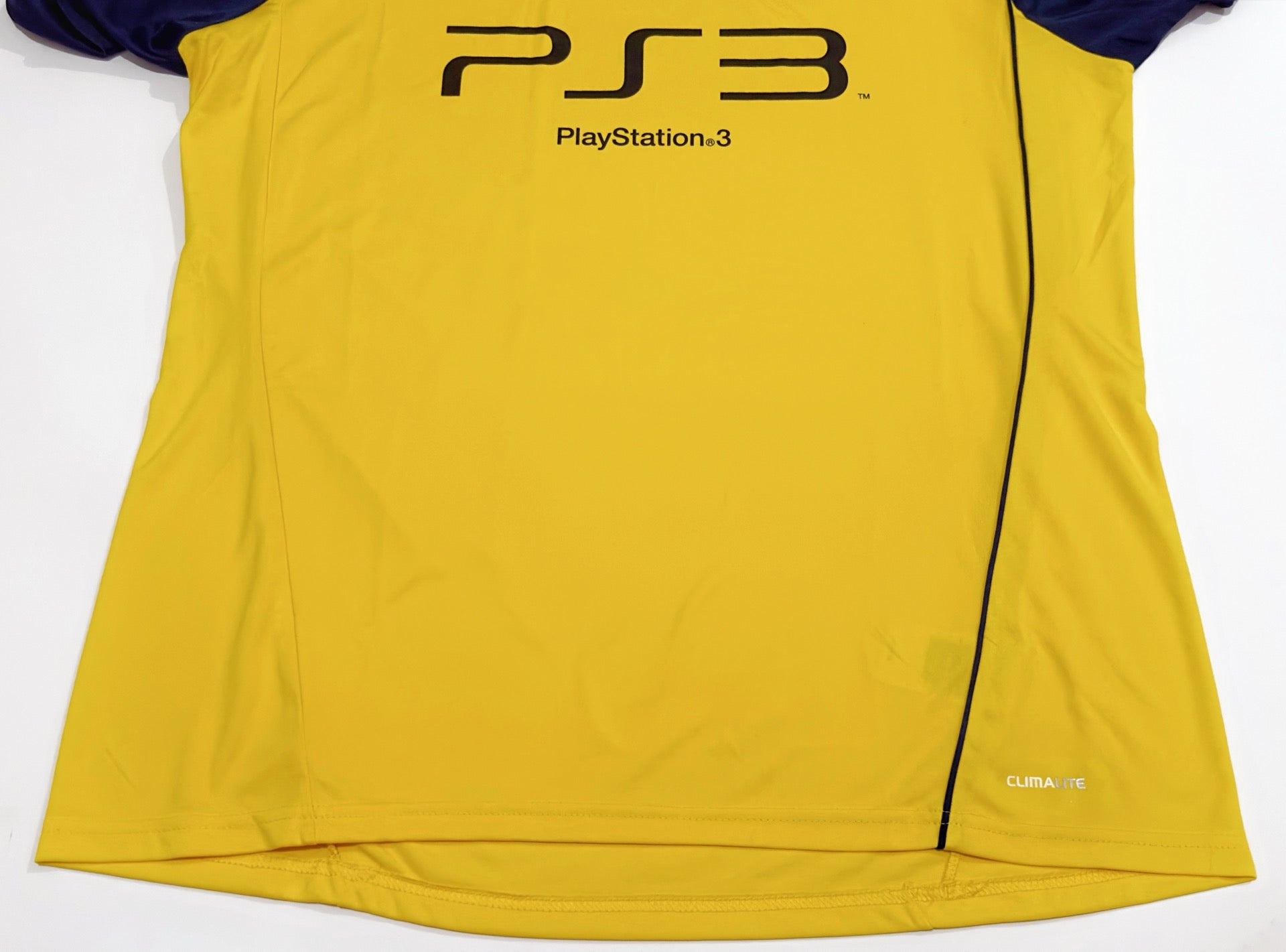 2010/11 TSW Pegasus Home Jersey (L)