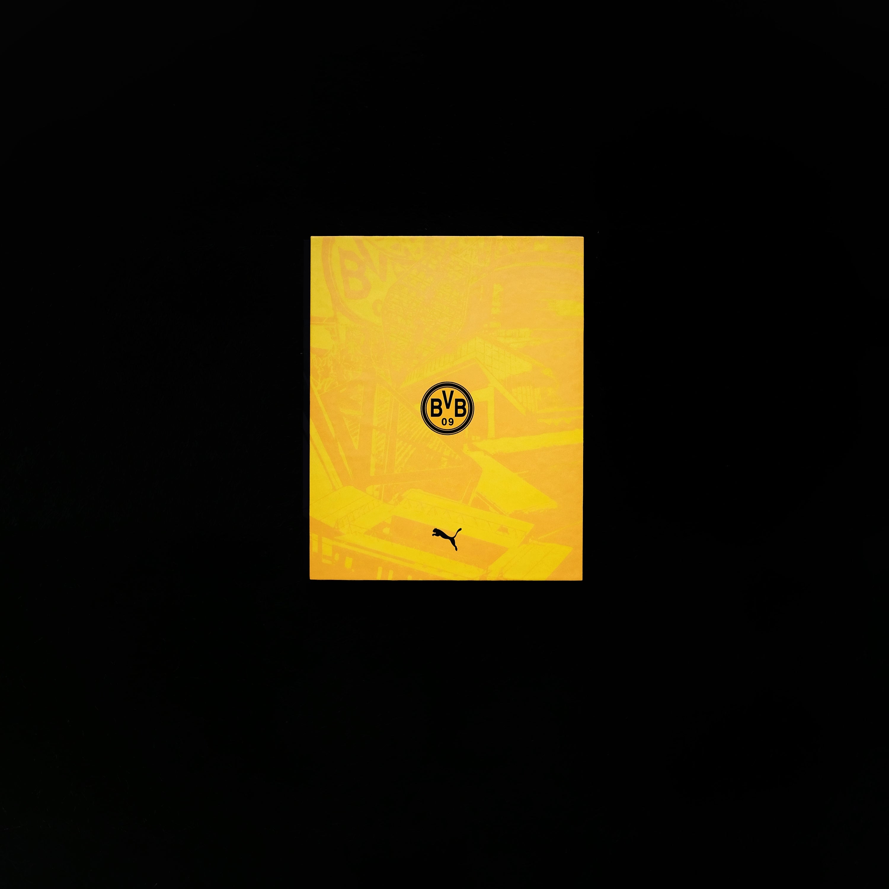 2023/24 Borussia Dortmund Fourth Jersey Boxset