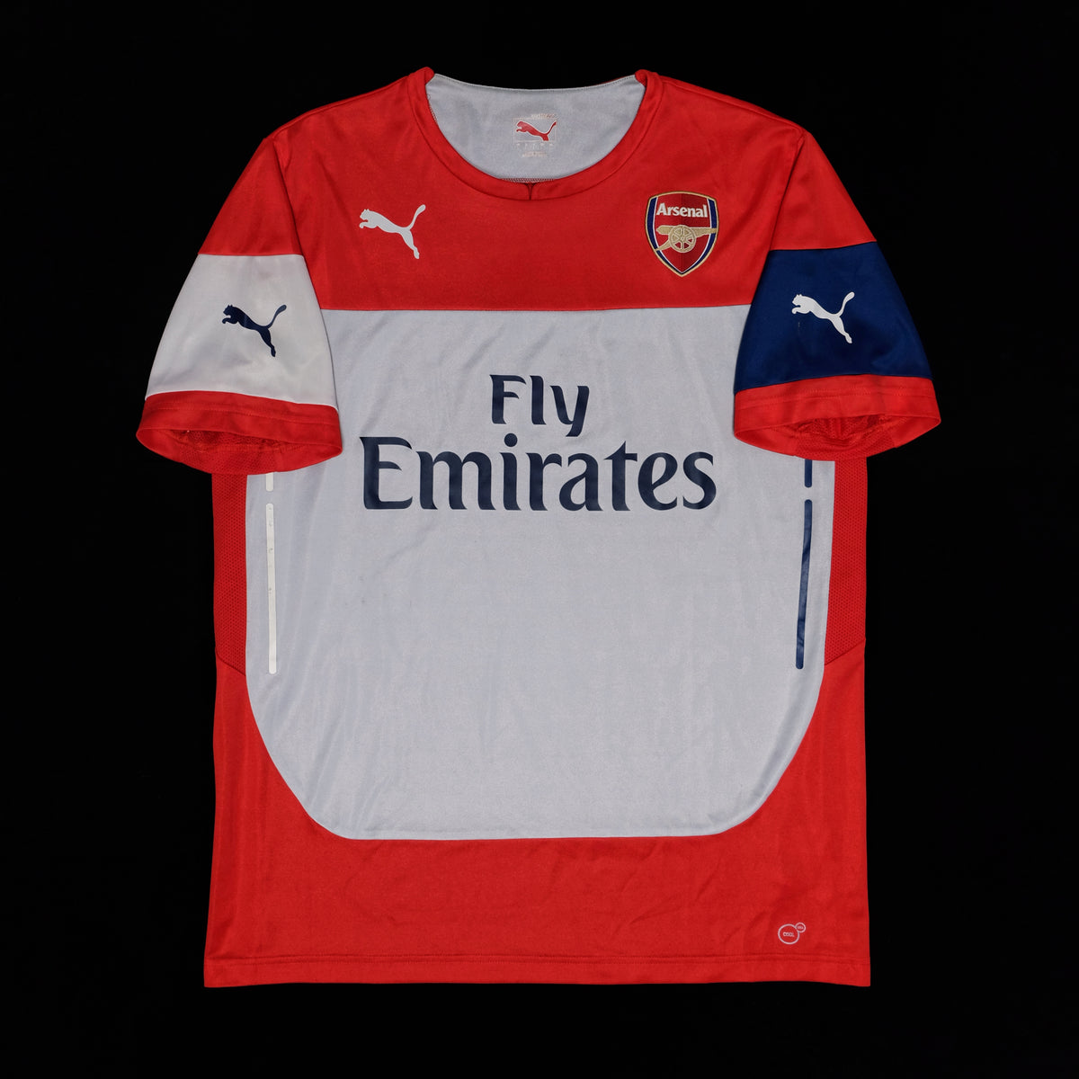 Puma Arsenal Training Jersey (L)