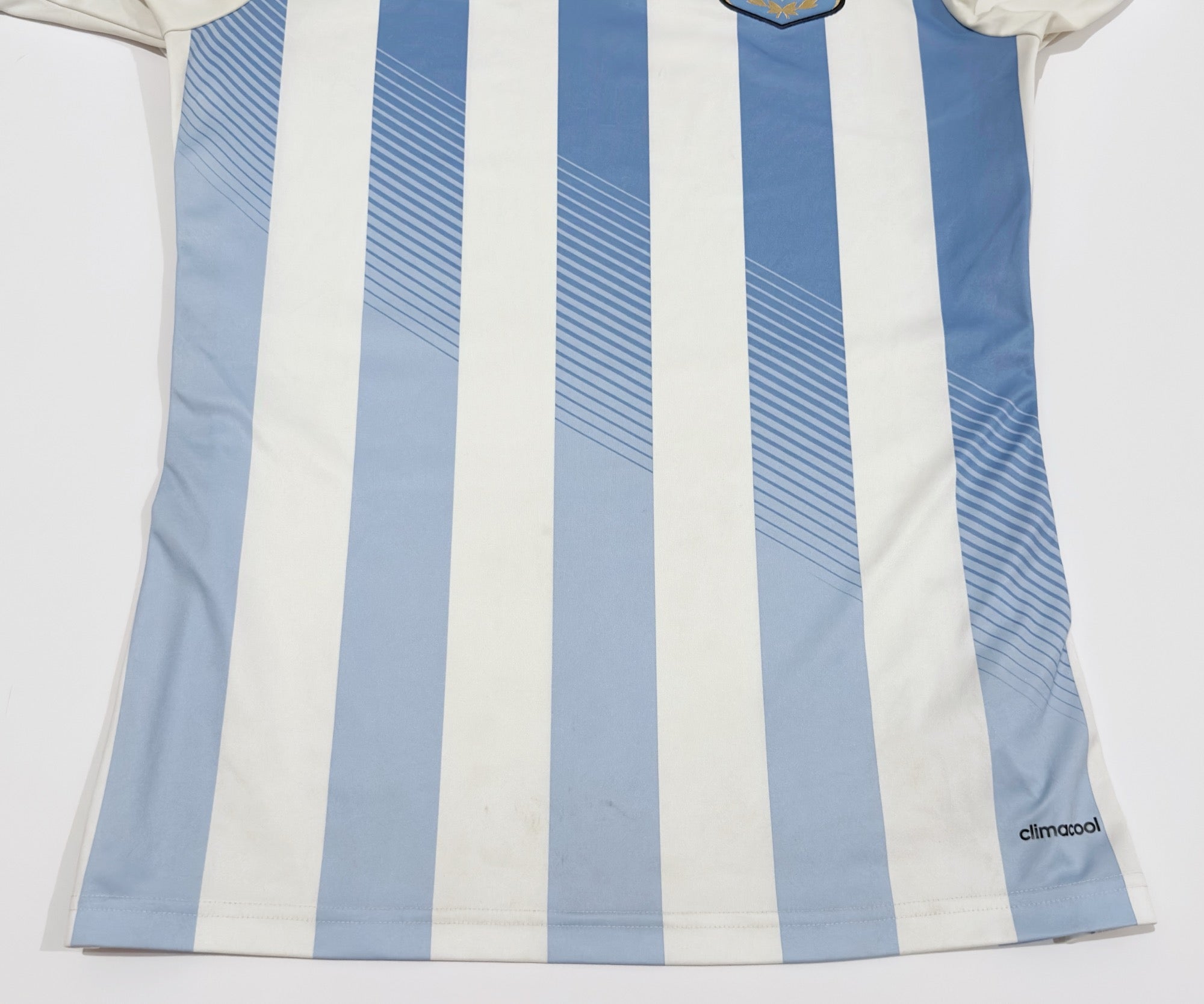 2013/15 Argentina Home Jersey (M)