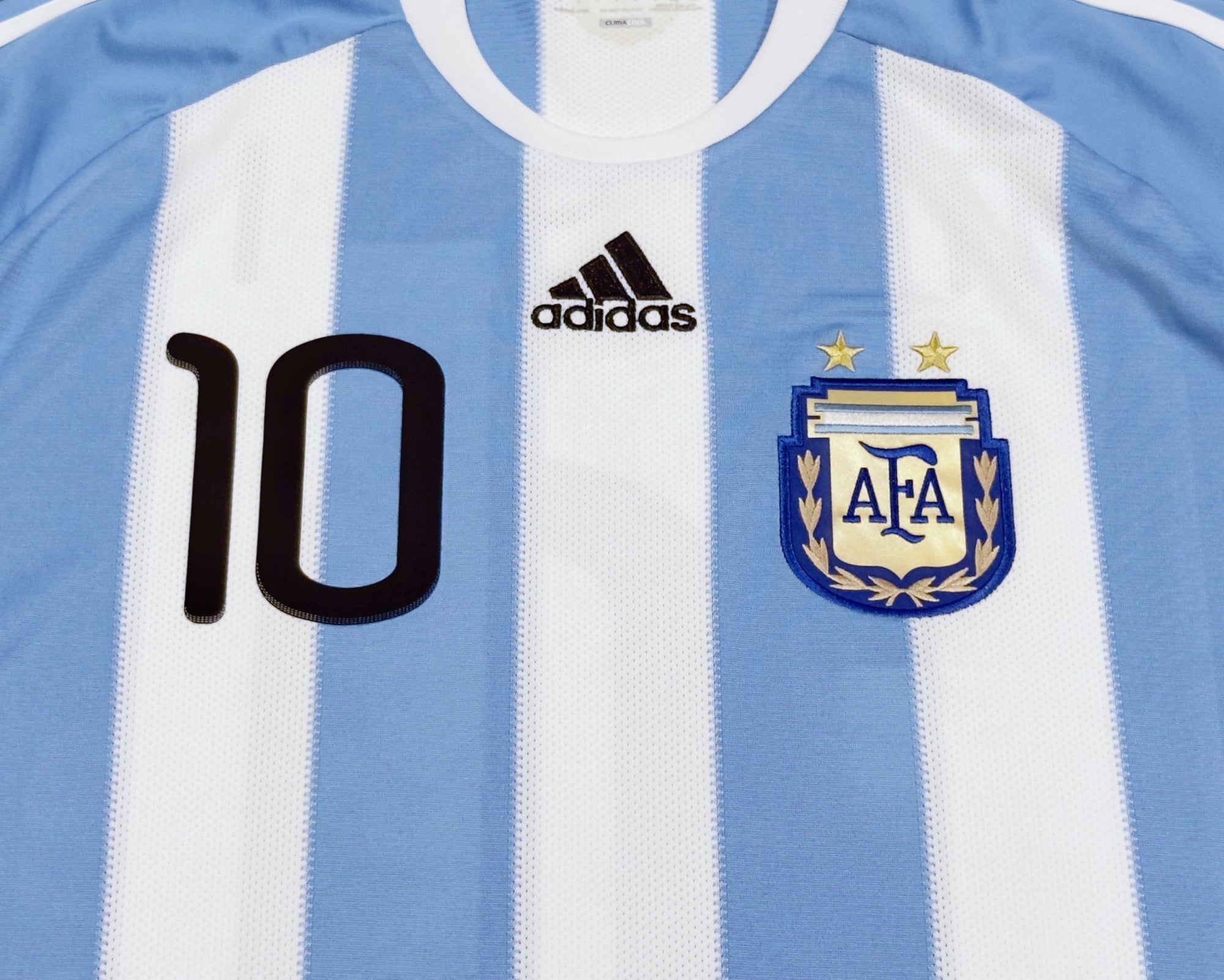 2010/11 Argentina #10 MESSI Home Jersey (L)
