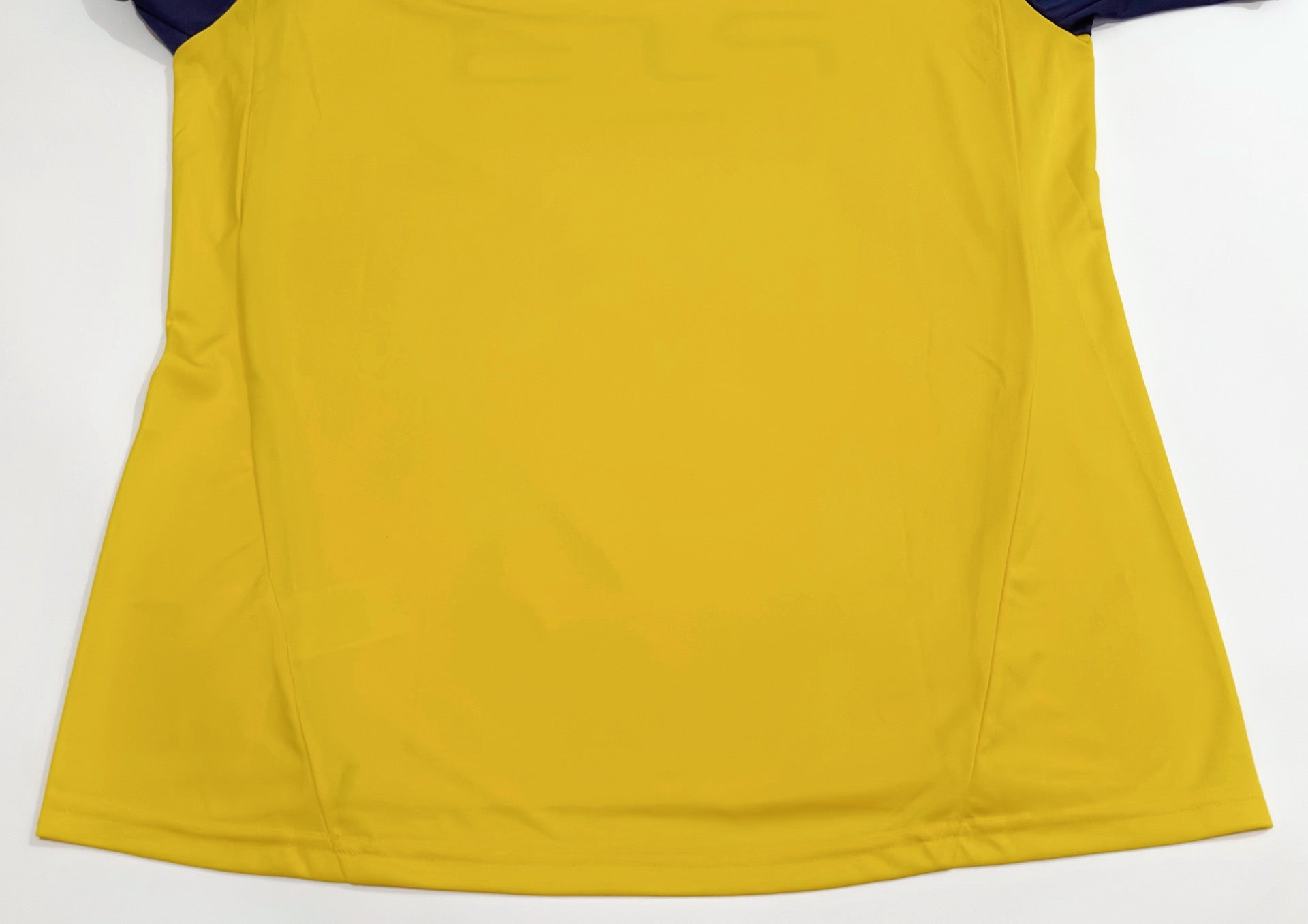 2010/11 TSW Pegasus Home Jersey (L)