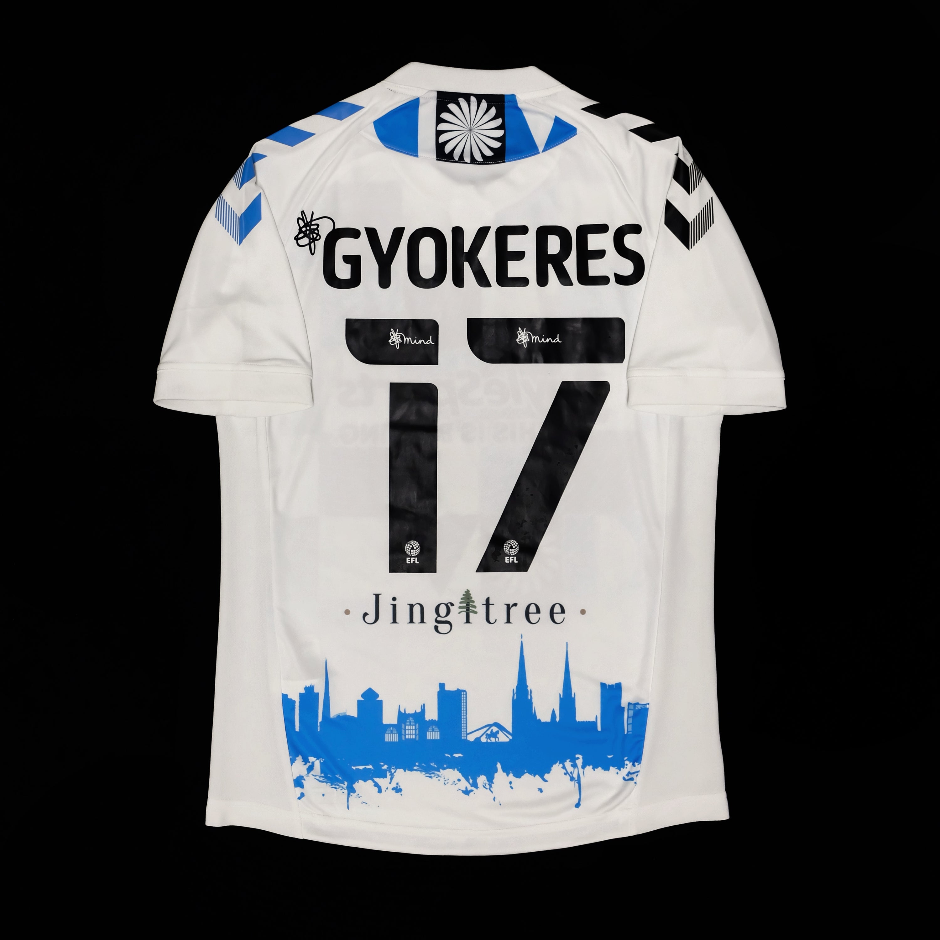 2020/21 Coventry City #17 GYOKERES Third Jersey (M)