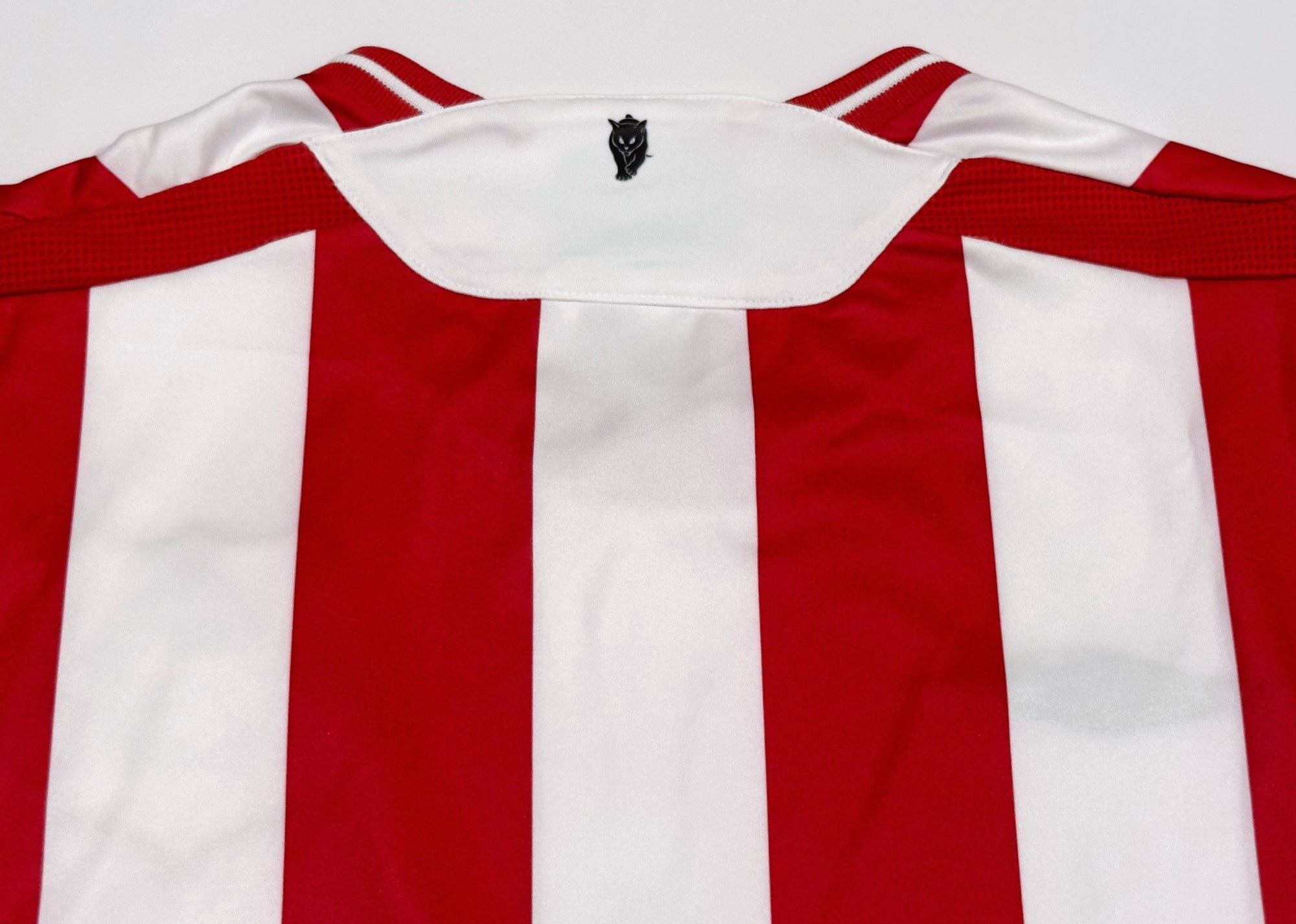 2009/10 Sunderland Home Jersey (M)