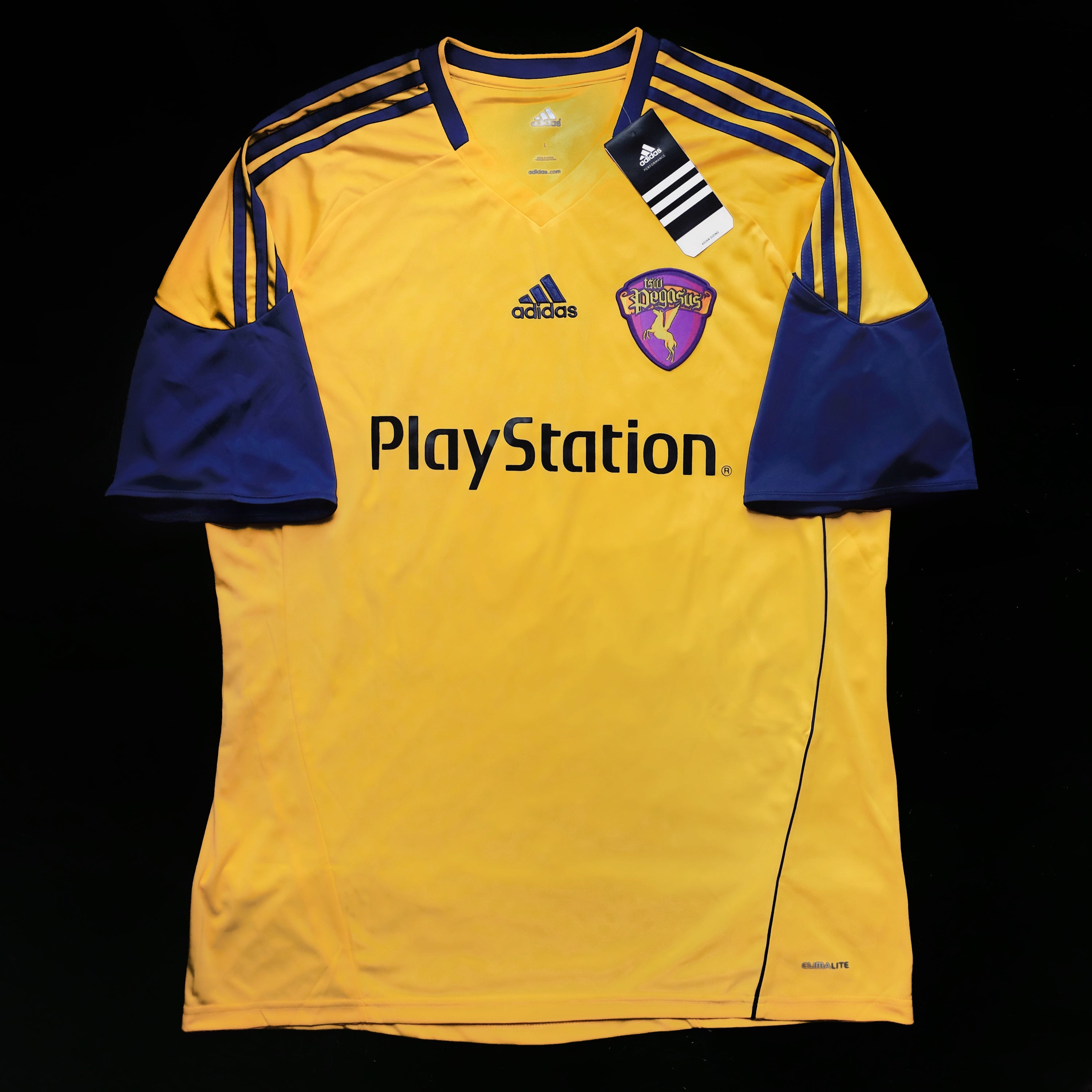 2011/12 TSW Pegasus #17 H L LEE Home Jersey (L)