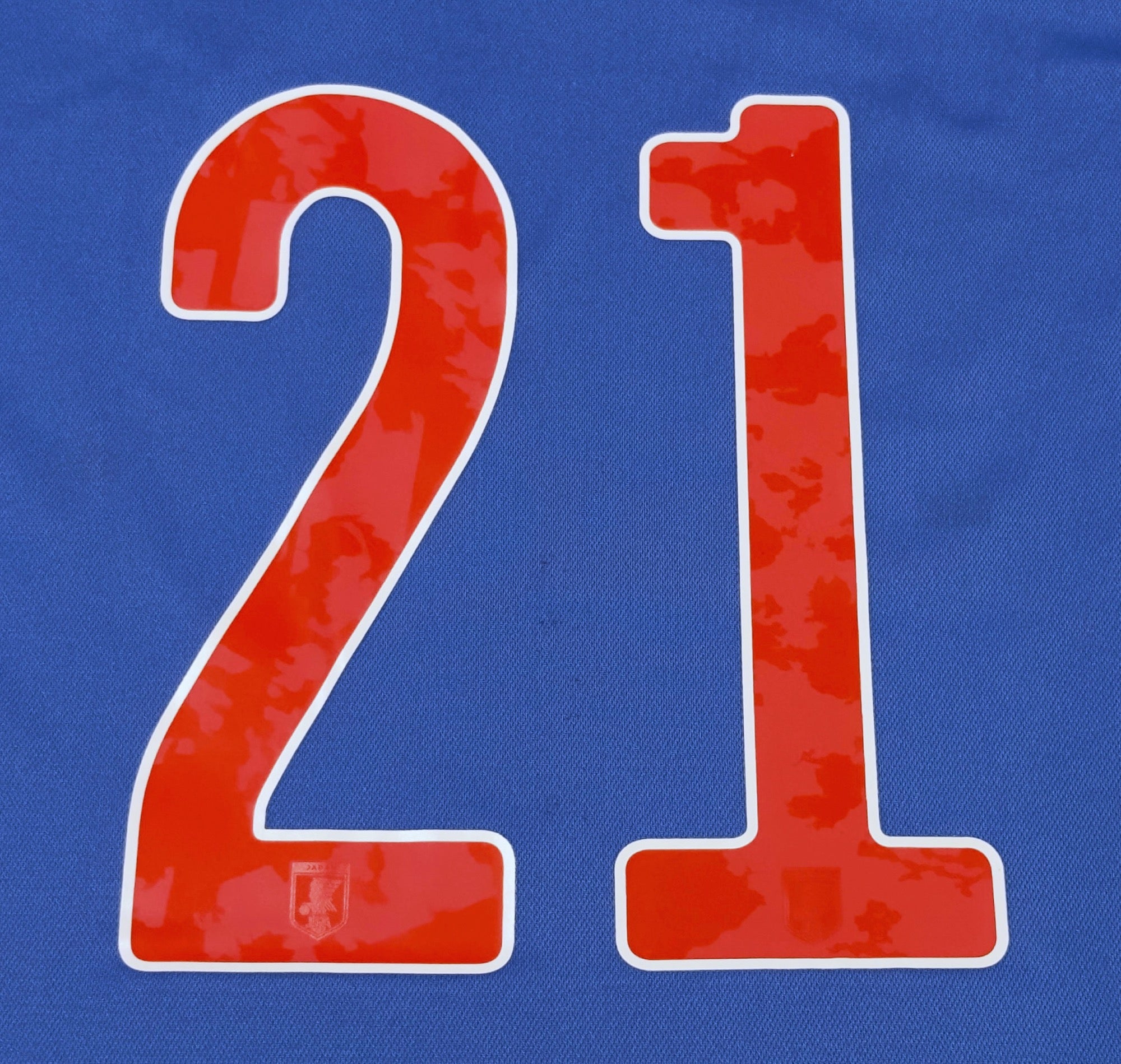2020/21 Japan #21 MITOMA Home Jersey (L)