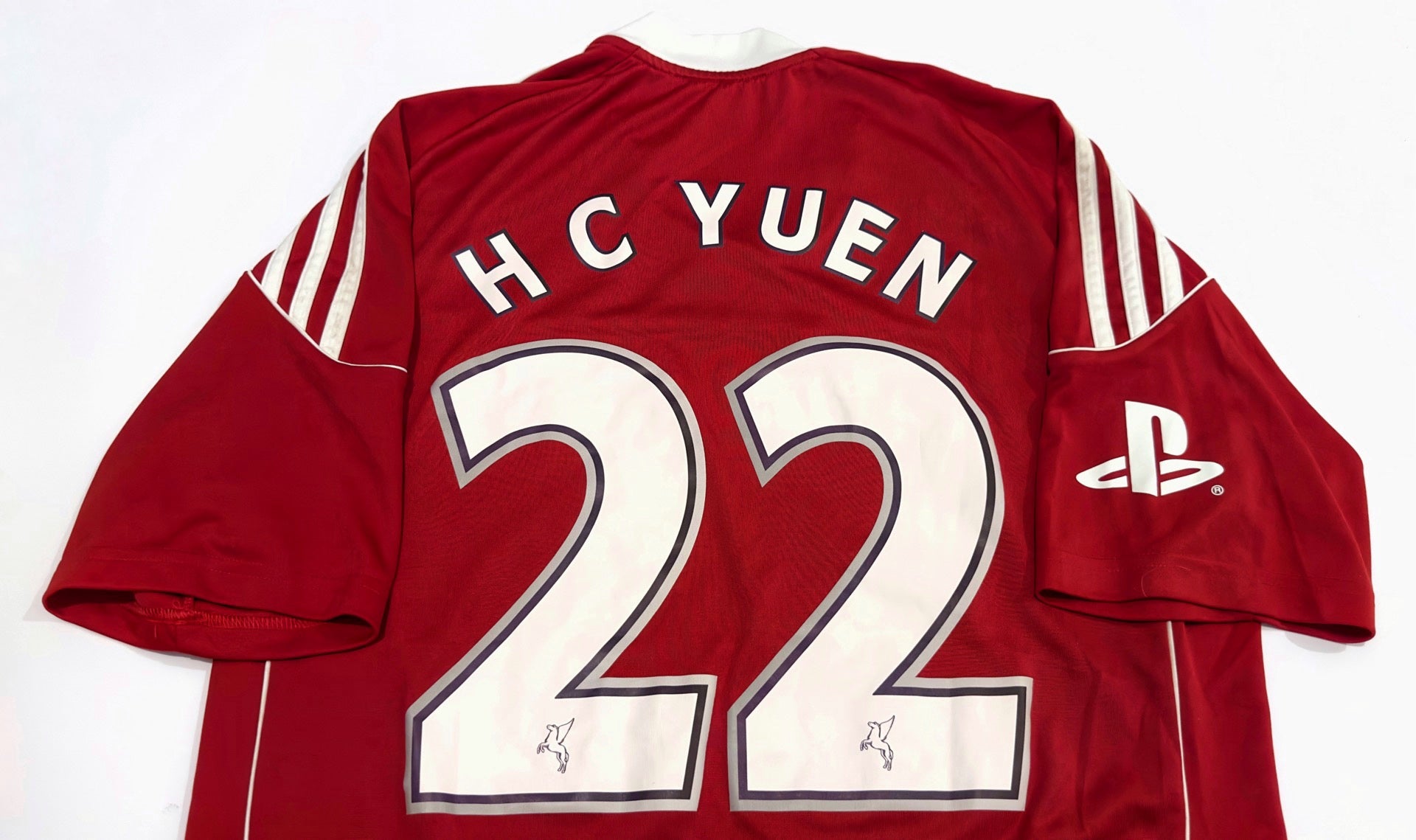 2010/11 TSW Pegasus #22 H C YUEN GK Jersey (L)