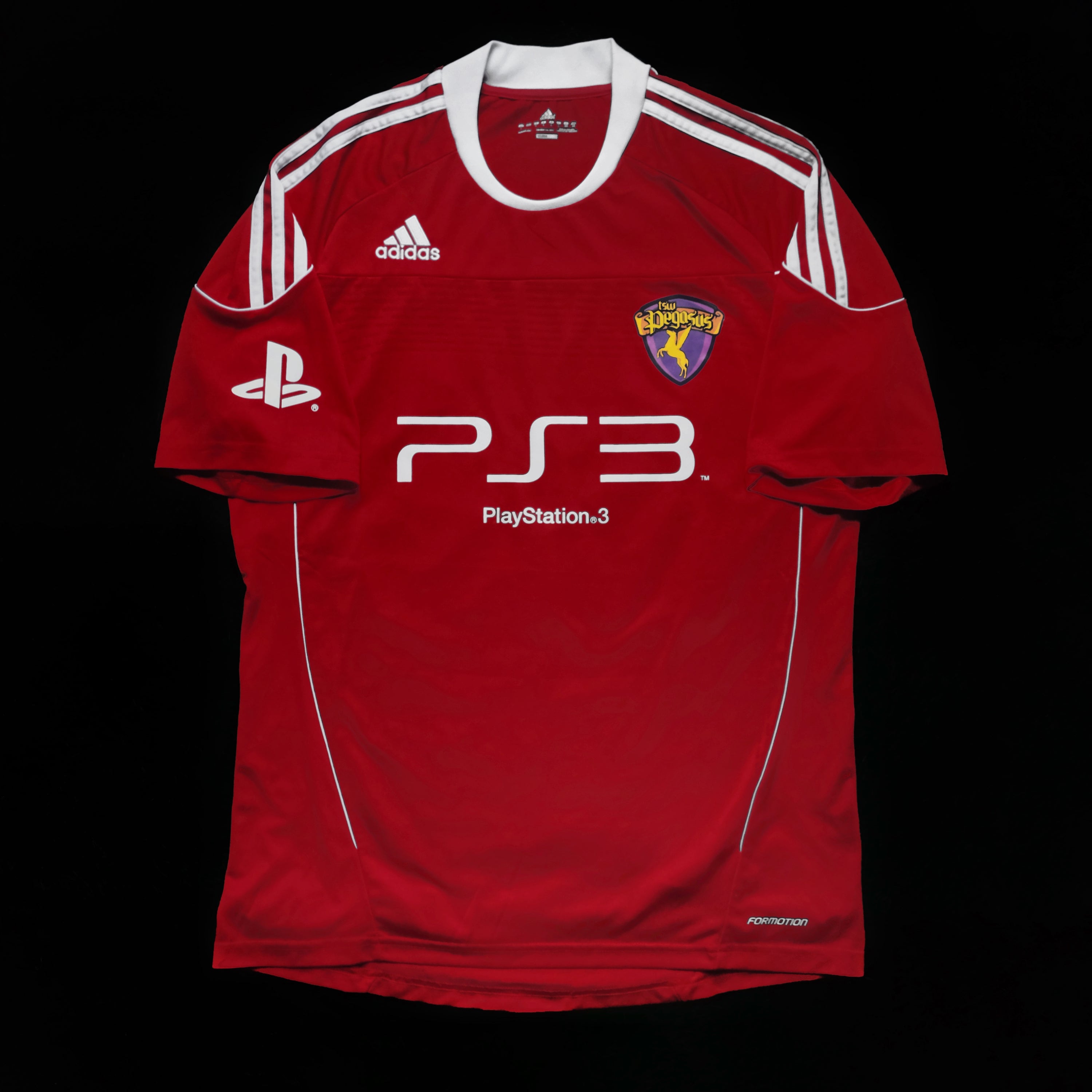 2010/11 TSW Pegasus #22 H C YUEN GK Jersey (L)