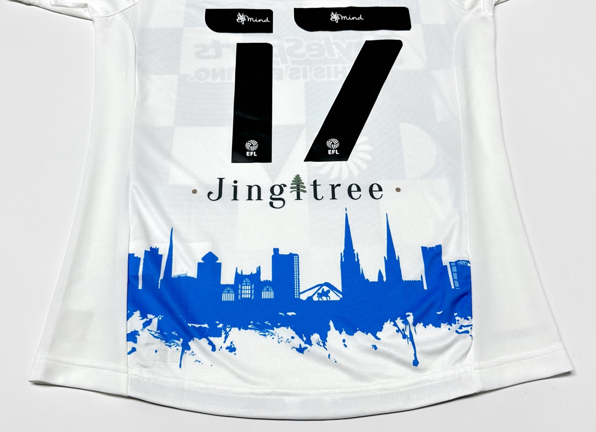 2020/21 Coventry City #17 GYOKERES Third Jersey (M)