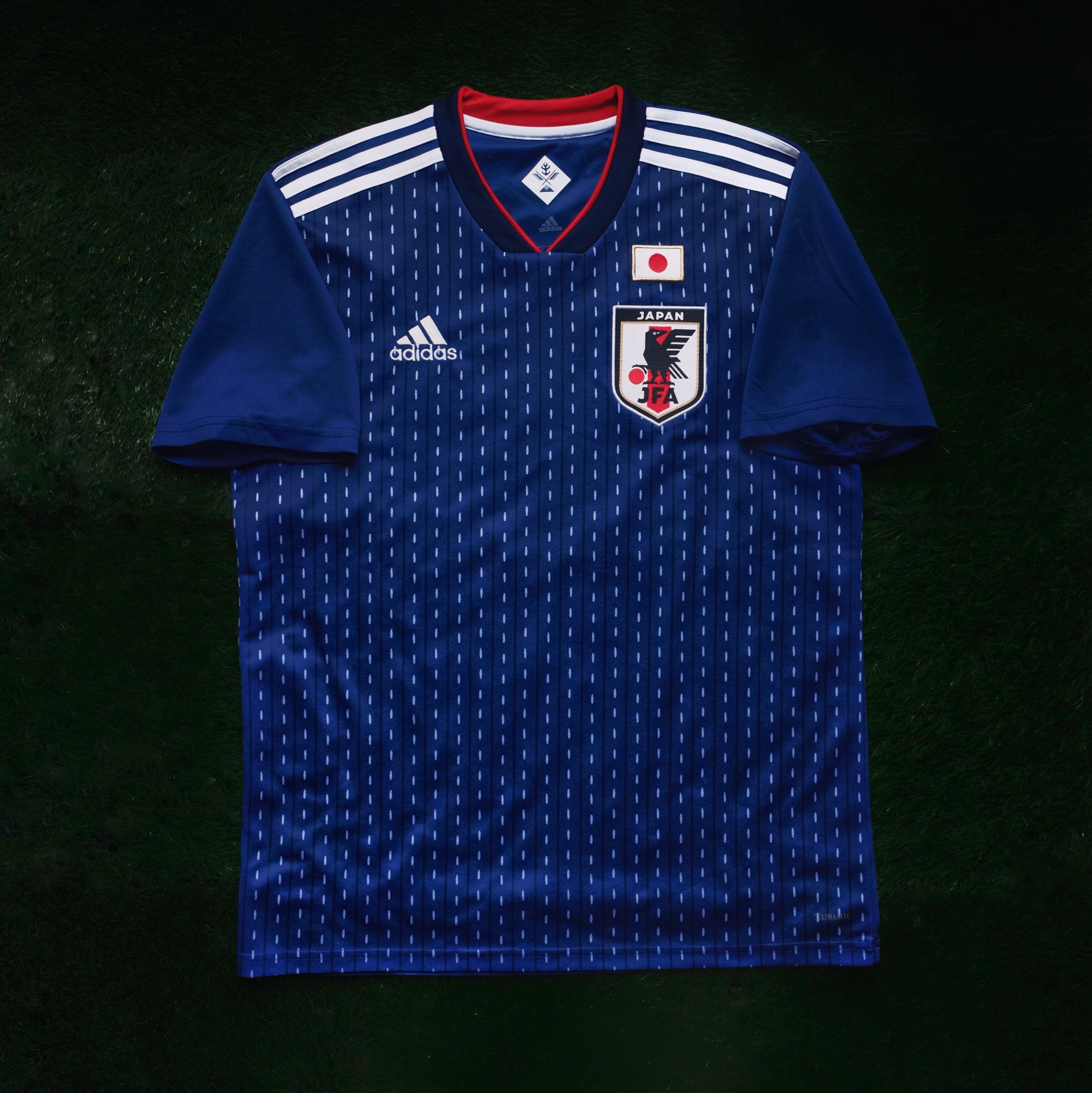 2018/19 Japan Home Jersey (L)