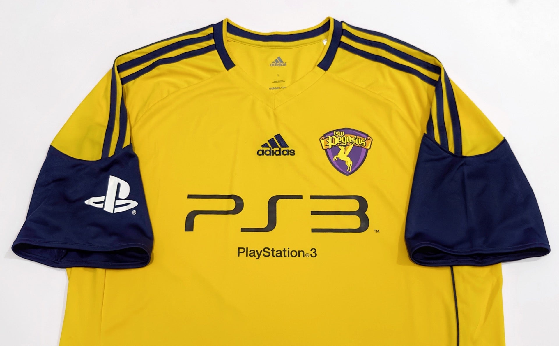 2010/11 TSW Pegasus Home Jersey (L)