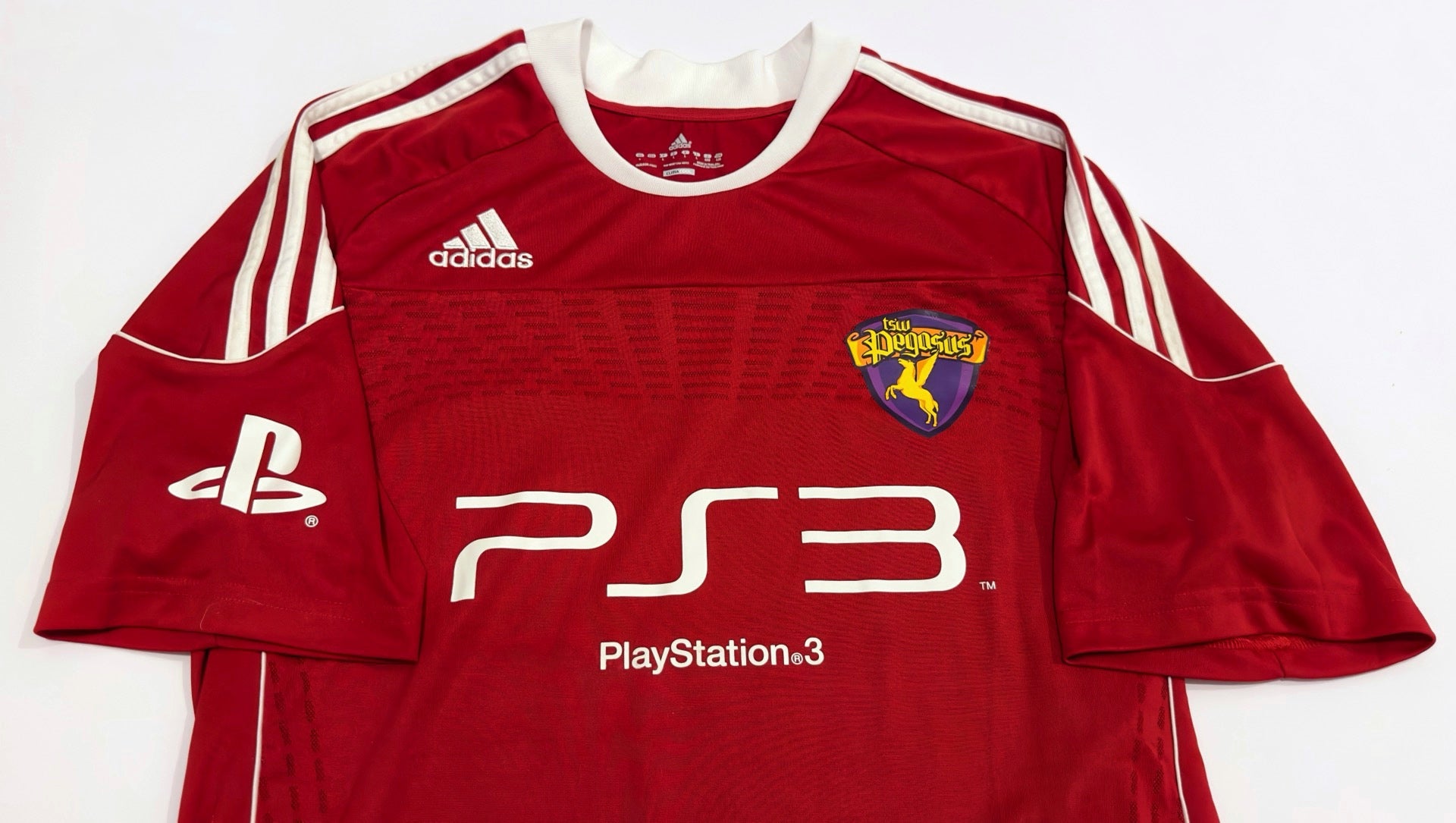 2010/11 TSW Pegasus #22 H C YUEN GK Jersey (L)