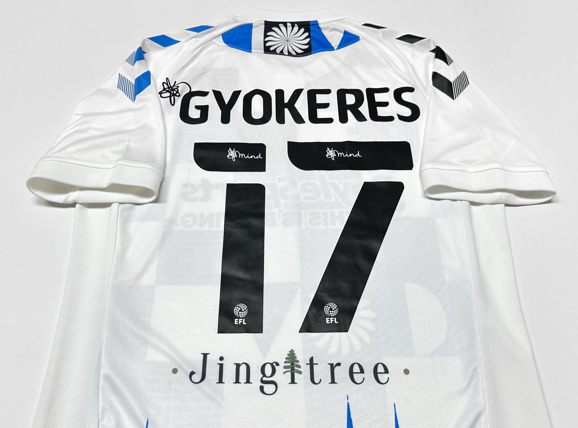 2020/21 Coventry City #17 GYOKERES Third Jersey (M)