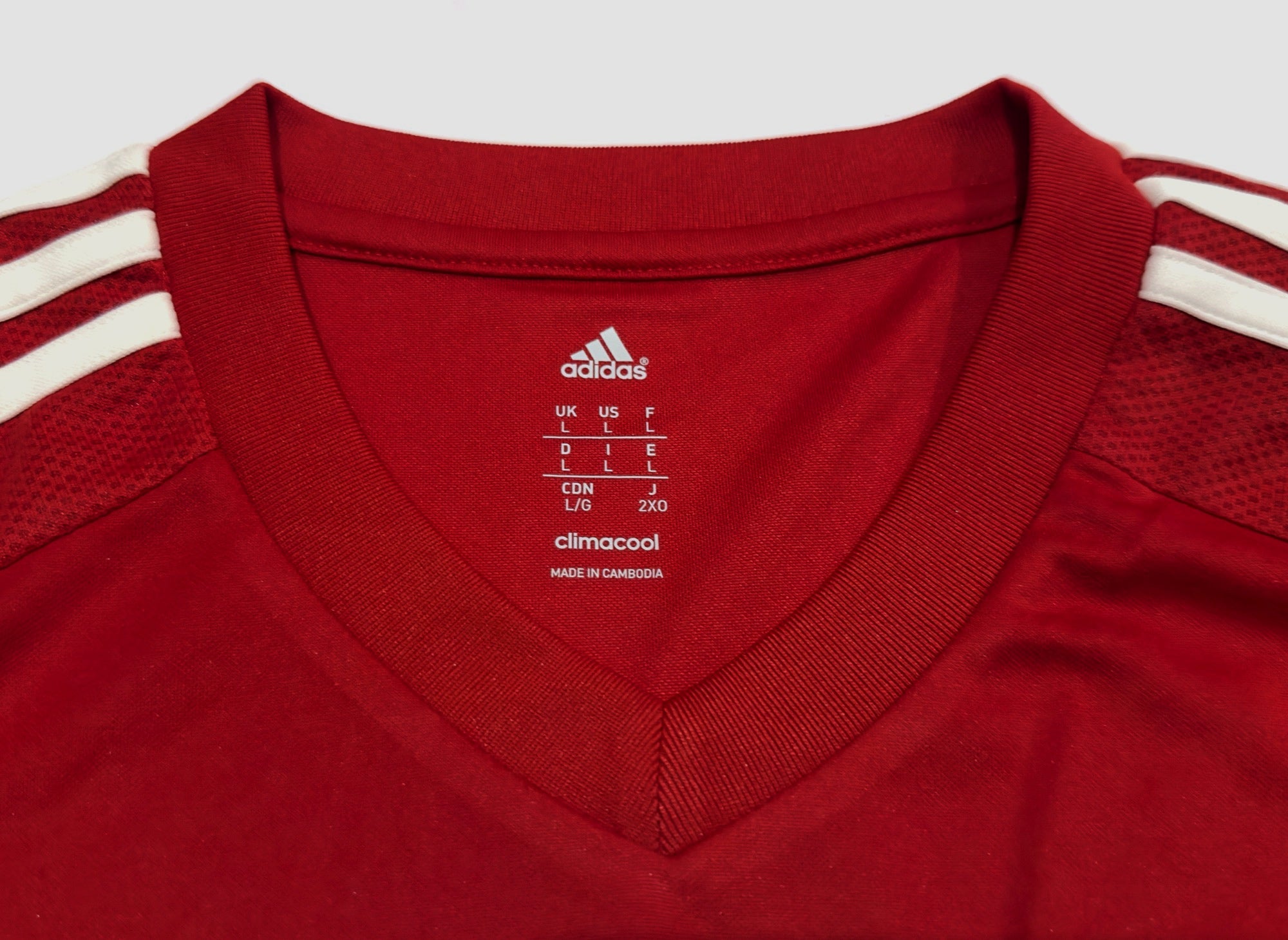 adidas South China Training Top (L)
