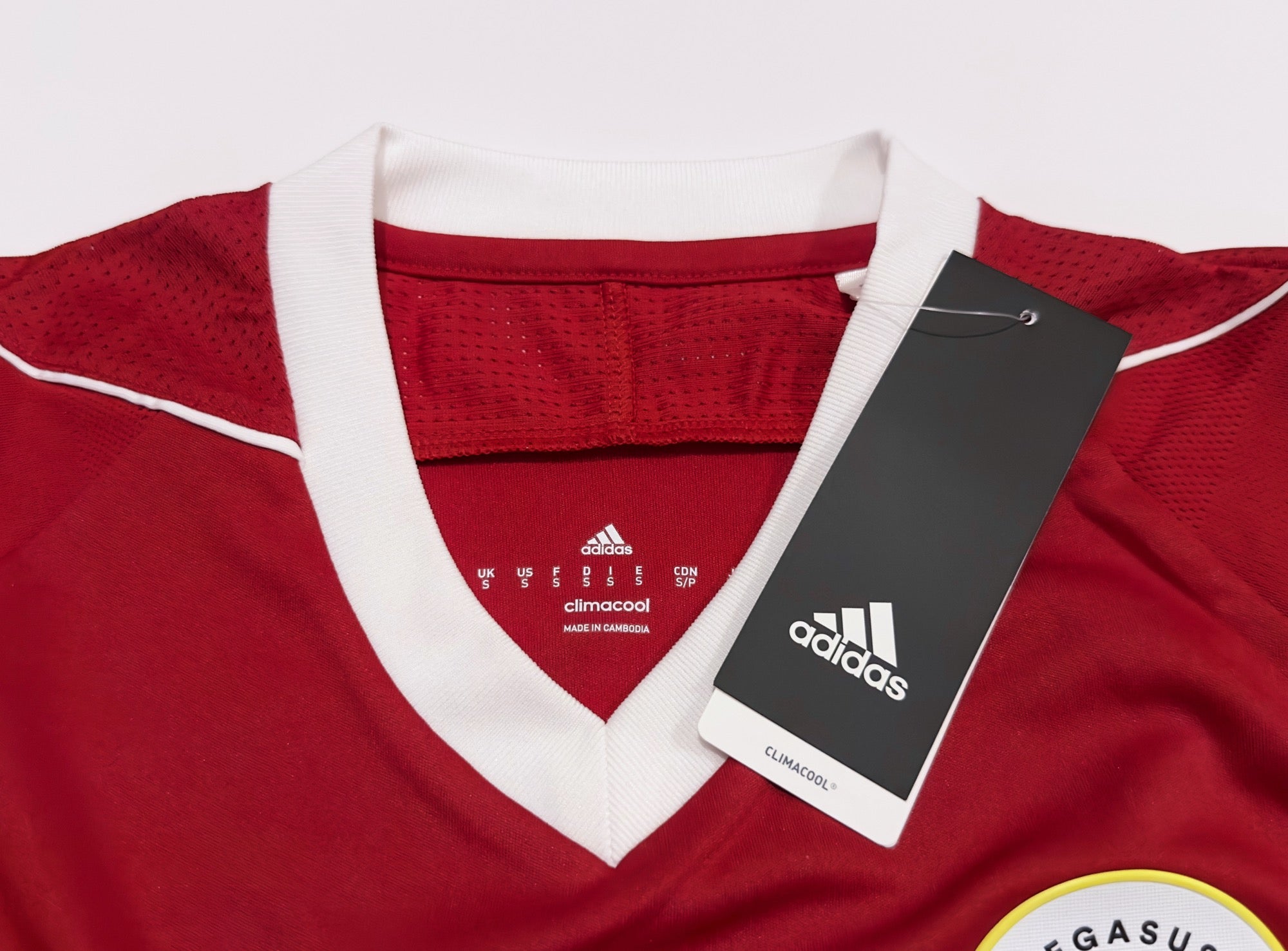 2017/18 HK Pegasus #22 C M WU Home Jersey (S)