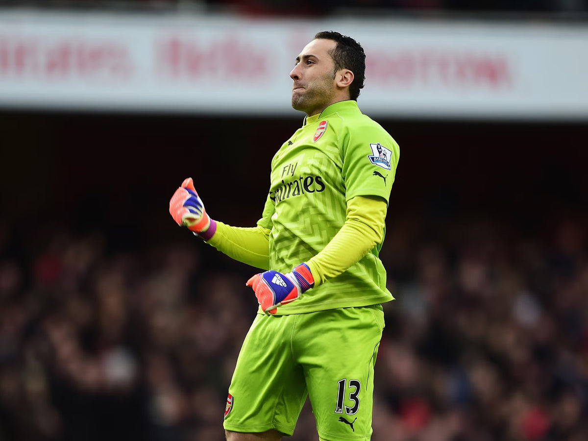 2014/15 Arsenal #13 OSPINA GK Jersey (L)