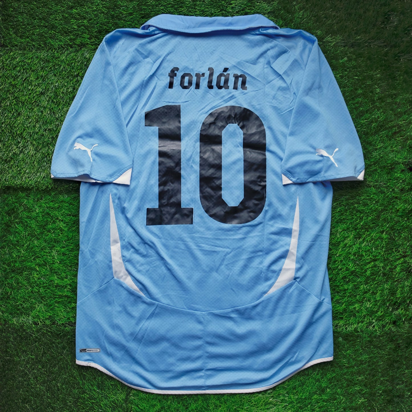 2010/12 Uruguay #10 FORLAN Home Jersey (L)