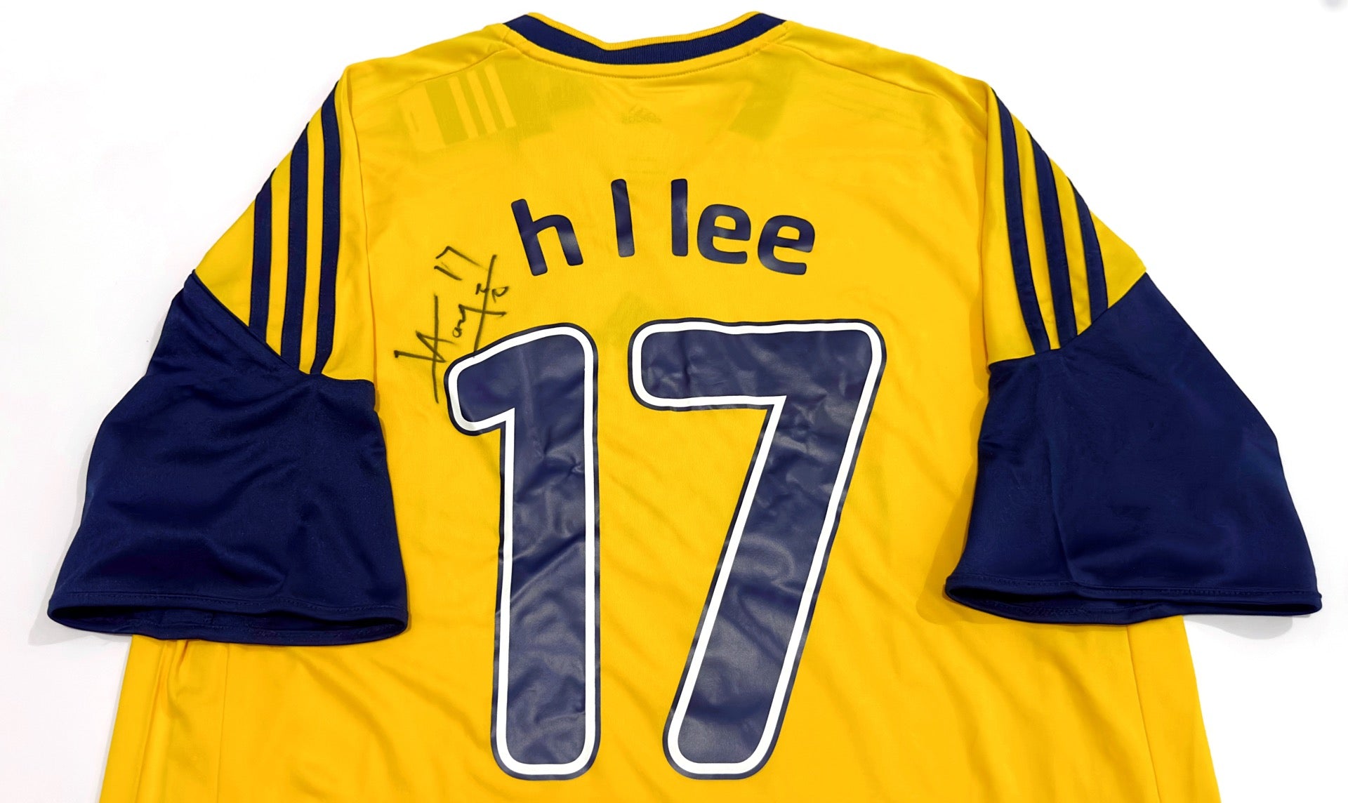 2011/12 TSW Pegasus #17 H L LEE Home Jersey (L)