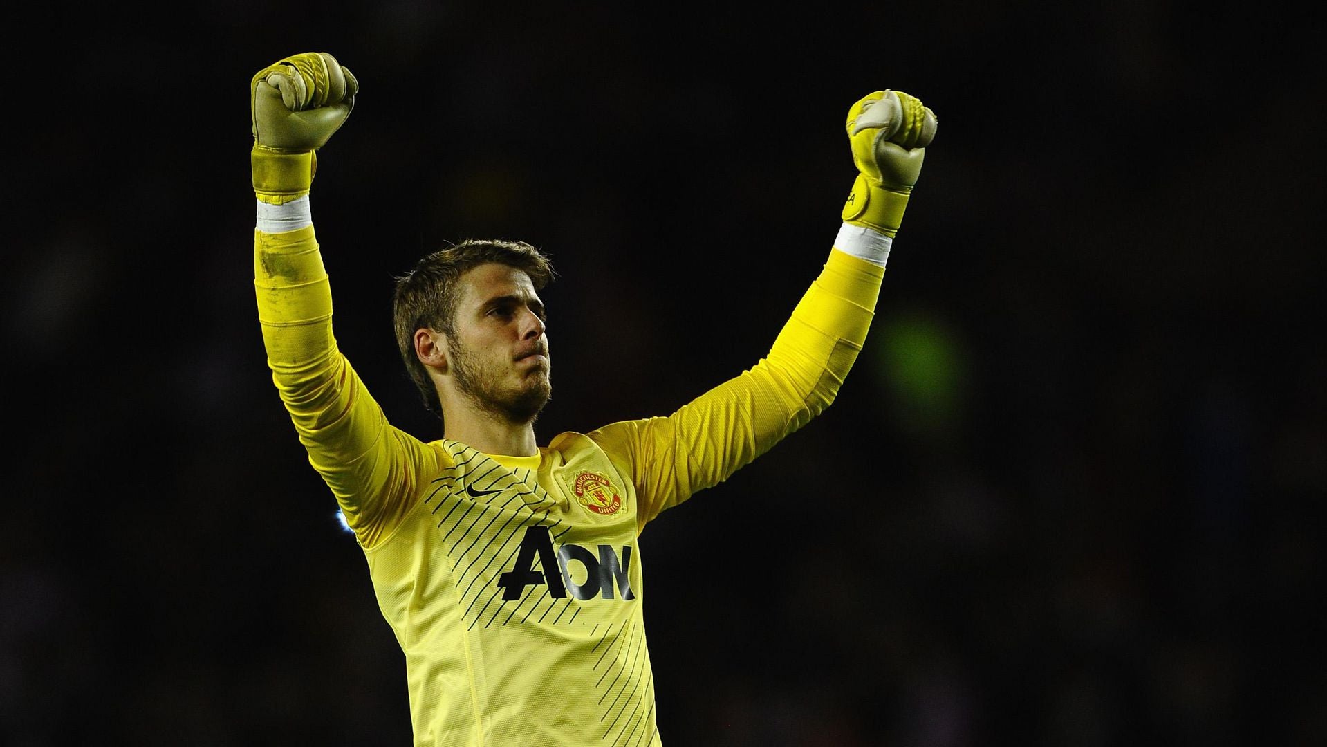 2013/14 Man Utd #1 DE GEA GK Jersey (M) L/S