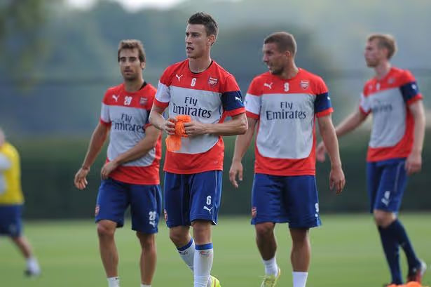 Puma Arsenal Training Jersey (L)