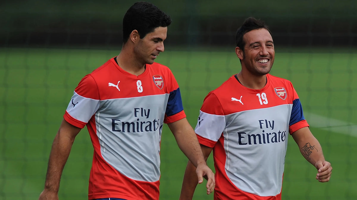 Puma Arsenal Training Jersey (L)