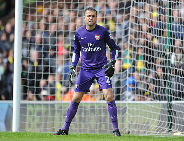 2013/14 Arsenal #21 FABIANSKI GK Jersey (M)
