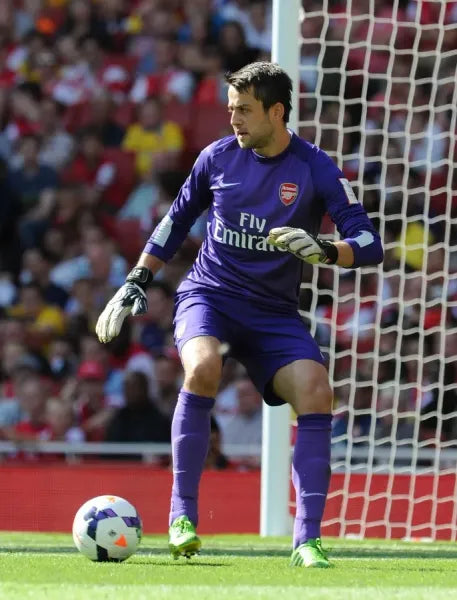 2013/14 Arsenal #21 FABIANSKI GK Jersey (M)
