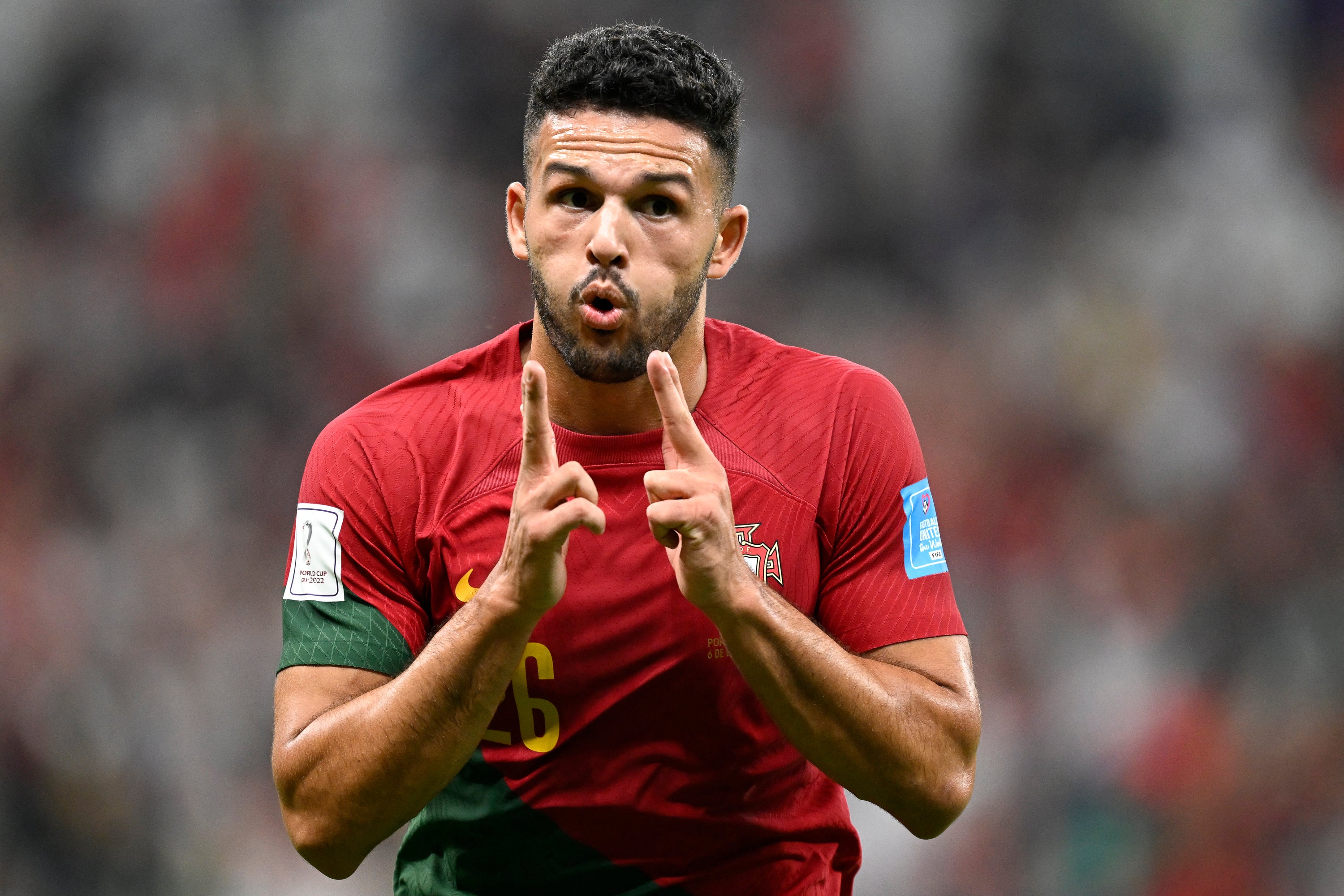 2022/23 Portugal Home Jersey (L)
